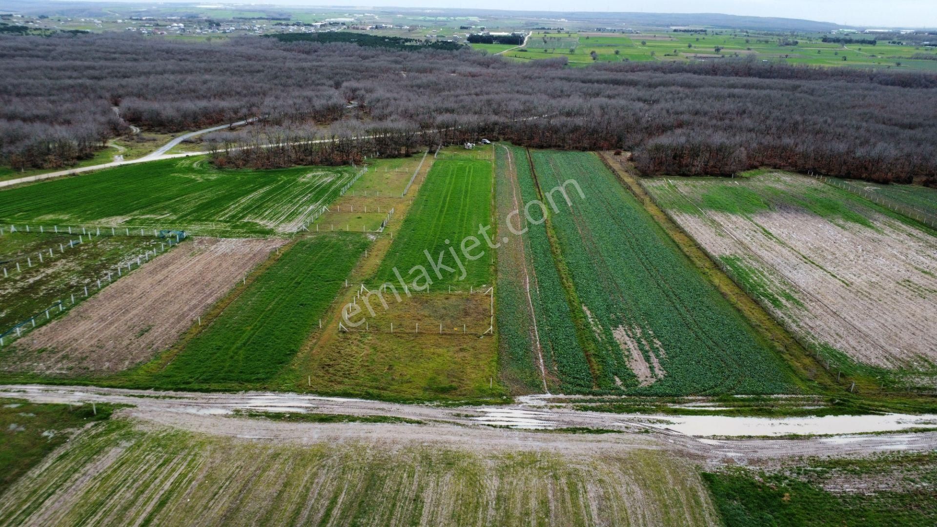 İmara 350 Metre Mesafede Silivri Büyükçavuşlu'da 8320 M2 Tarla - Görsel 15