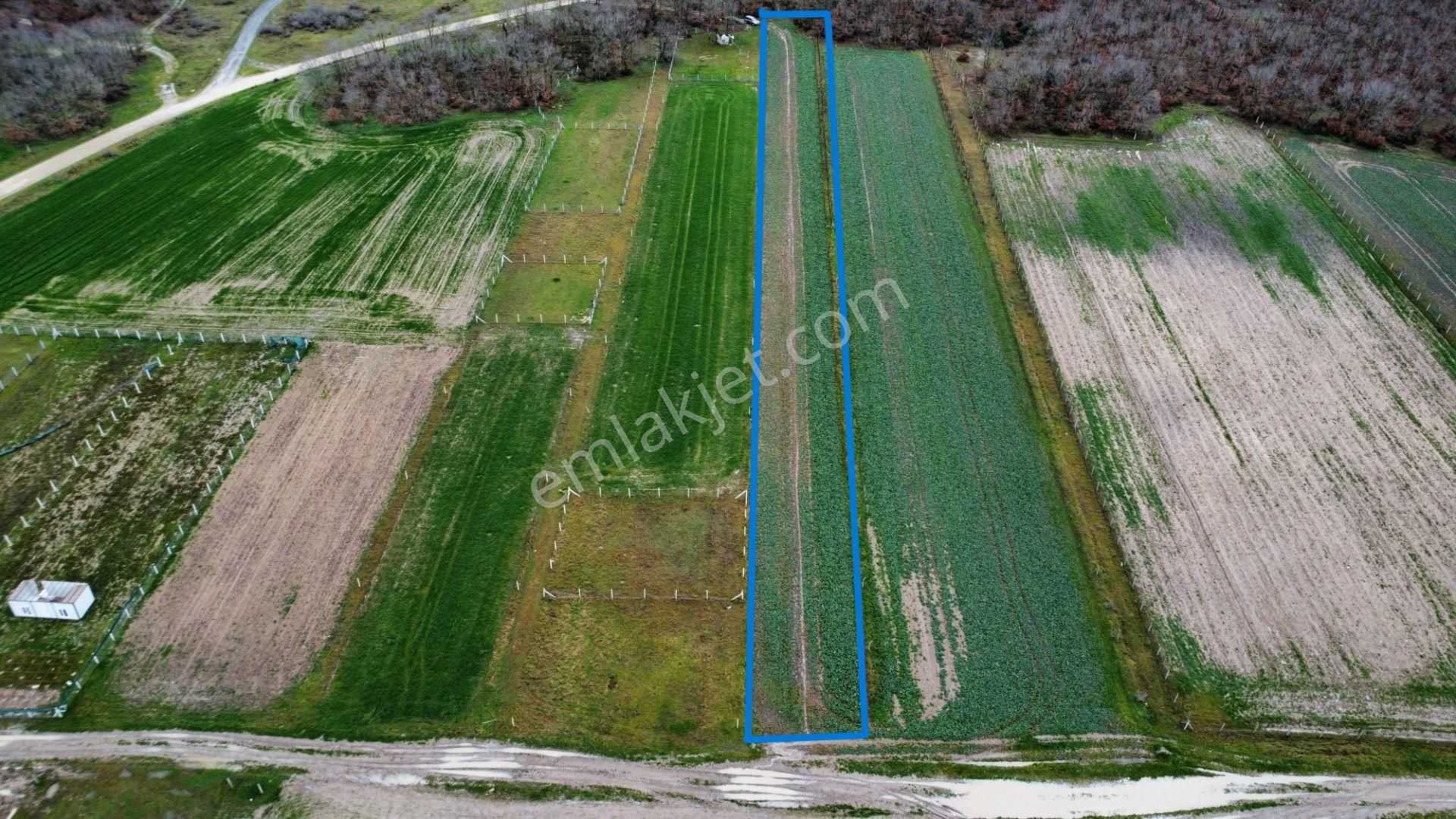 İmara 350 Metre Mesafede Silivri Büyükçavuşlu'da 8320 M2 Tarla - Görsel 3