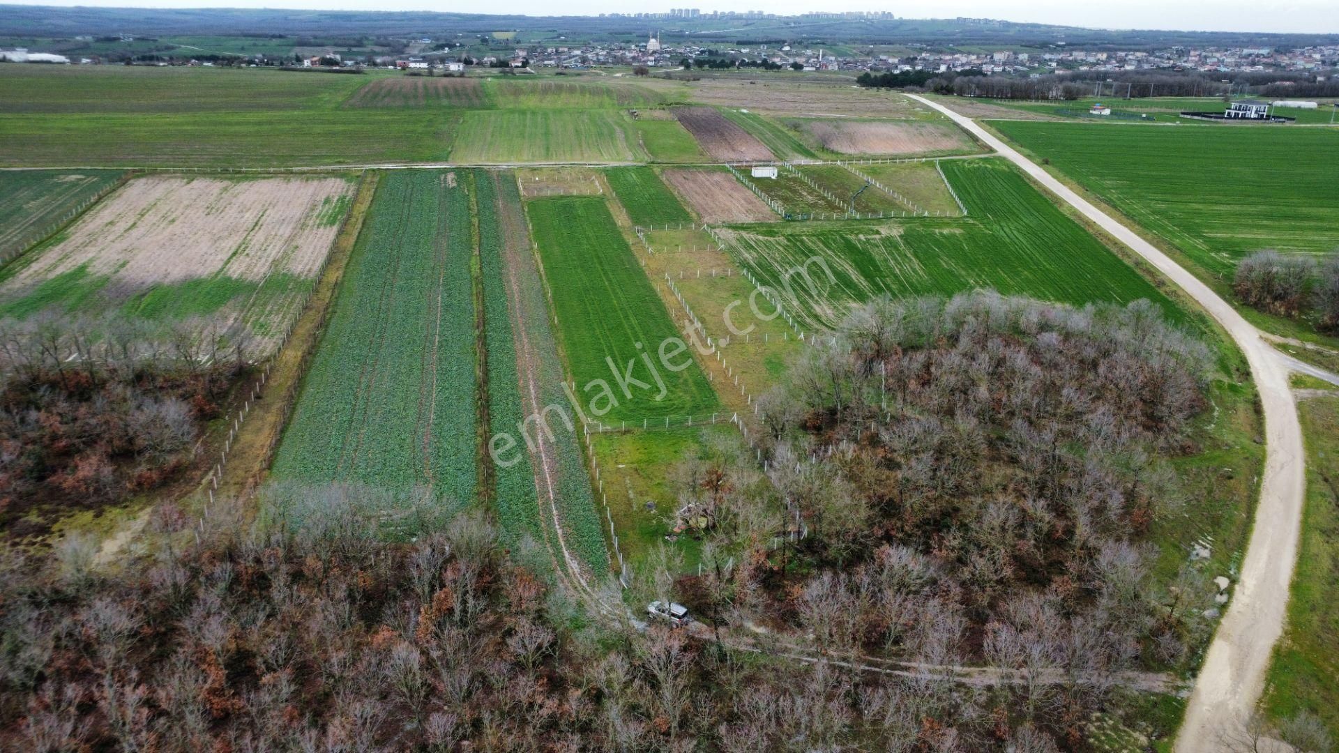 İmara 350 Metre Mesafede Silivri Büyükçavuşlu'da 8320 M2 Tarla - Görsel 9