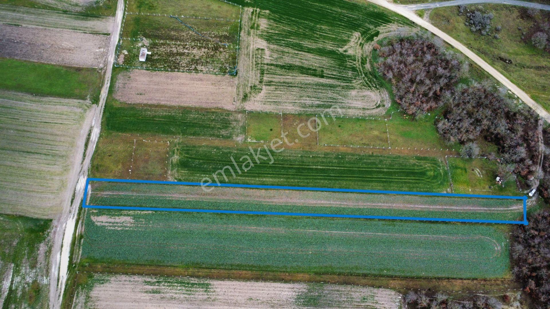 İmara 350 Metre Mesafede Silivri Büyükçavuşlu'da 8320 M2 Tarla - Görsel 4