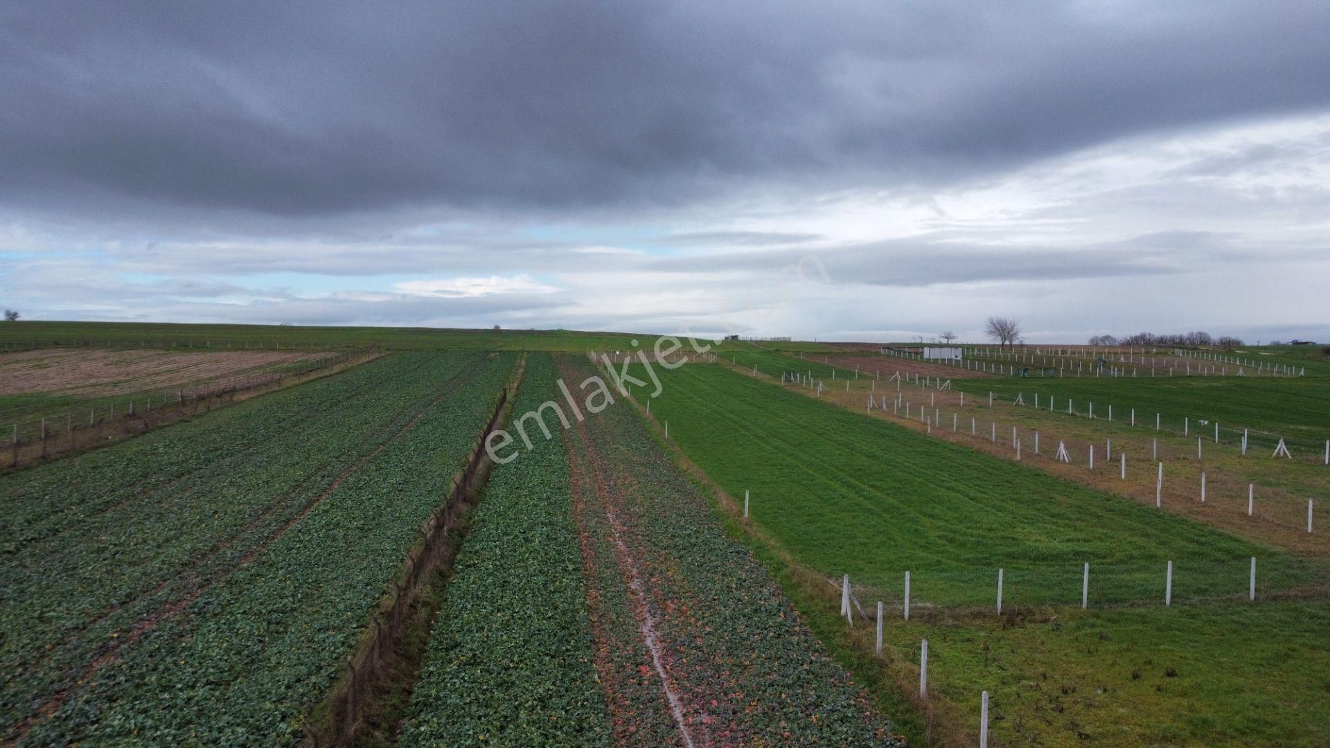 İmara 350 Metre Mesafede Silivri Büyükçavuşlu'da 8320 M2 Tarla - Görsel 20