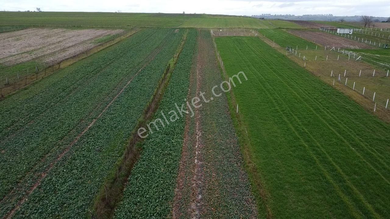 İmara 350 Metre Mesafede Silivri Büyükçavuşlu'da 8320 M2 Tarla - Görsel 19