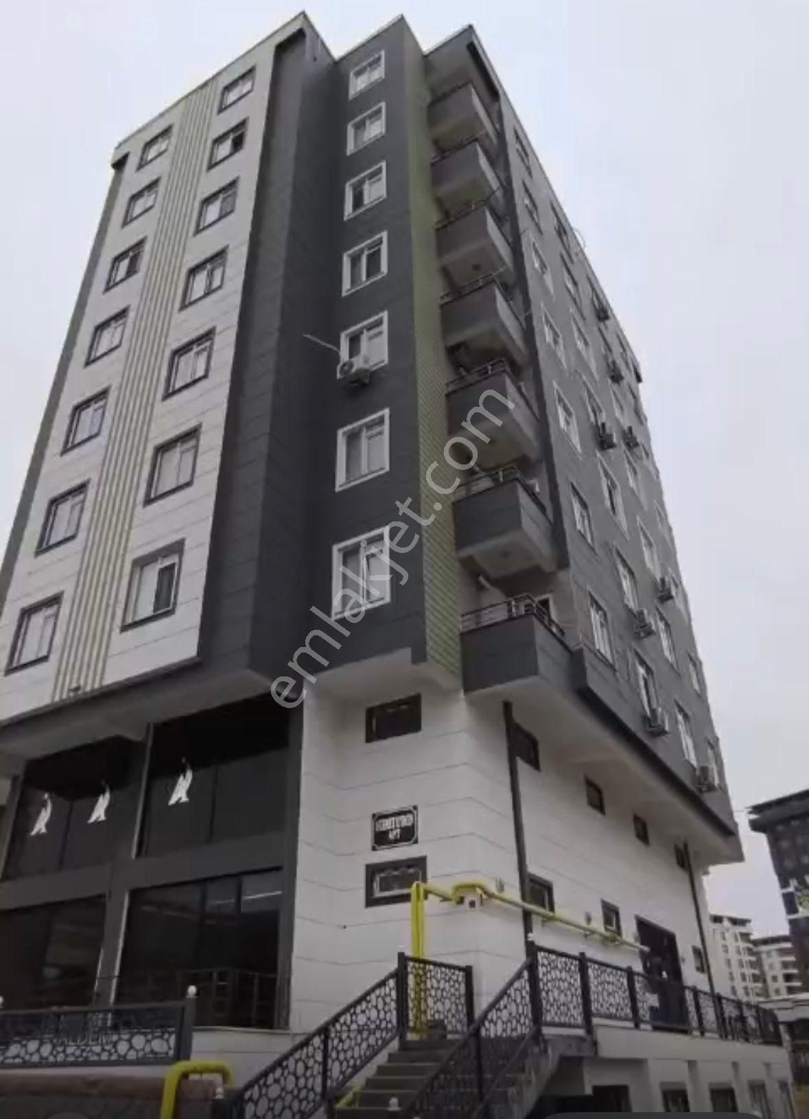 Emsalsiz Go Petrol Arkası 2+1