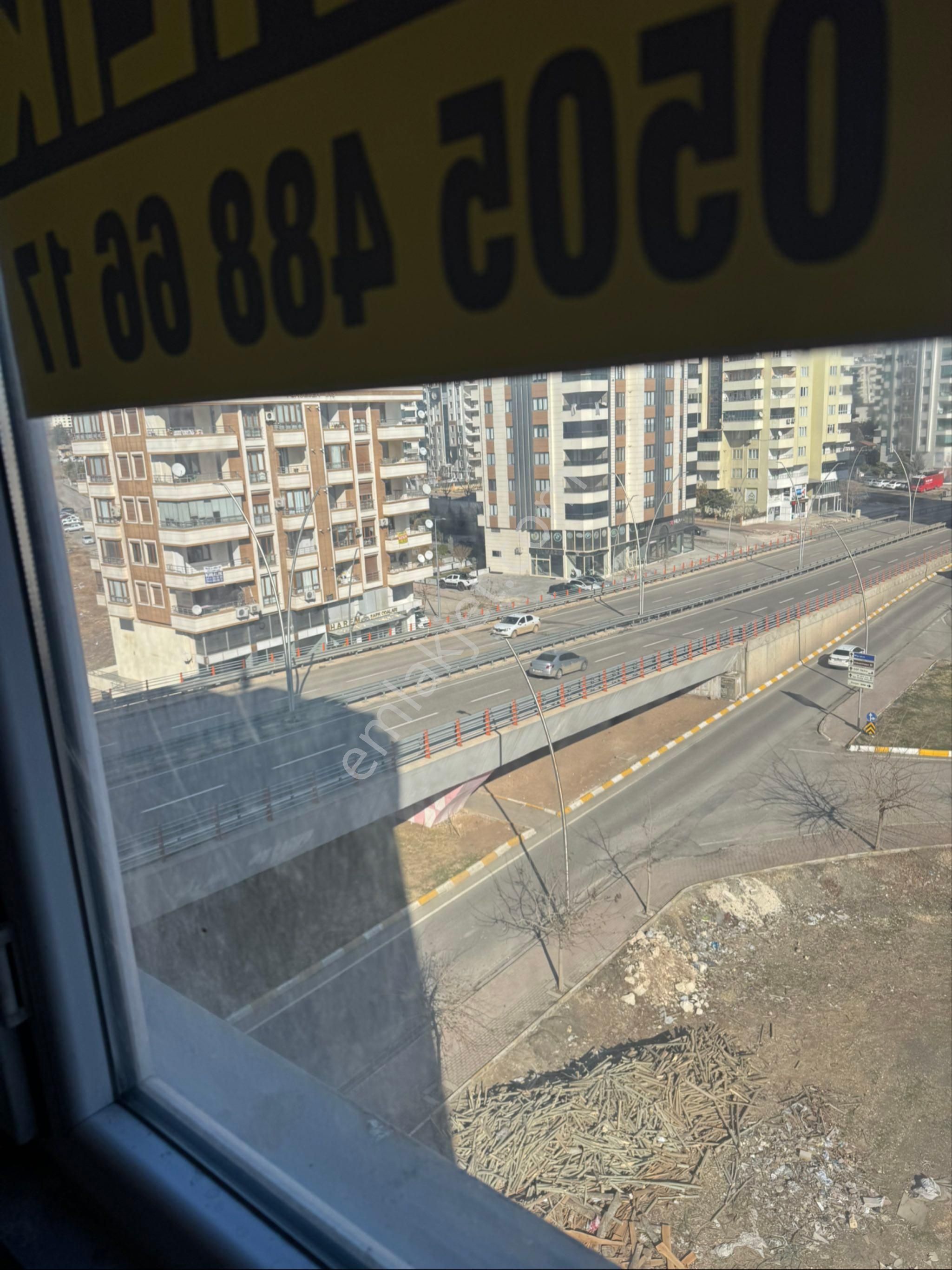 Emsalsiz Go Petrol Arkası 2+1 - Görsel 16