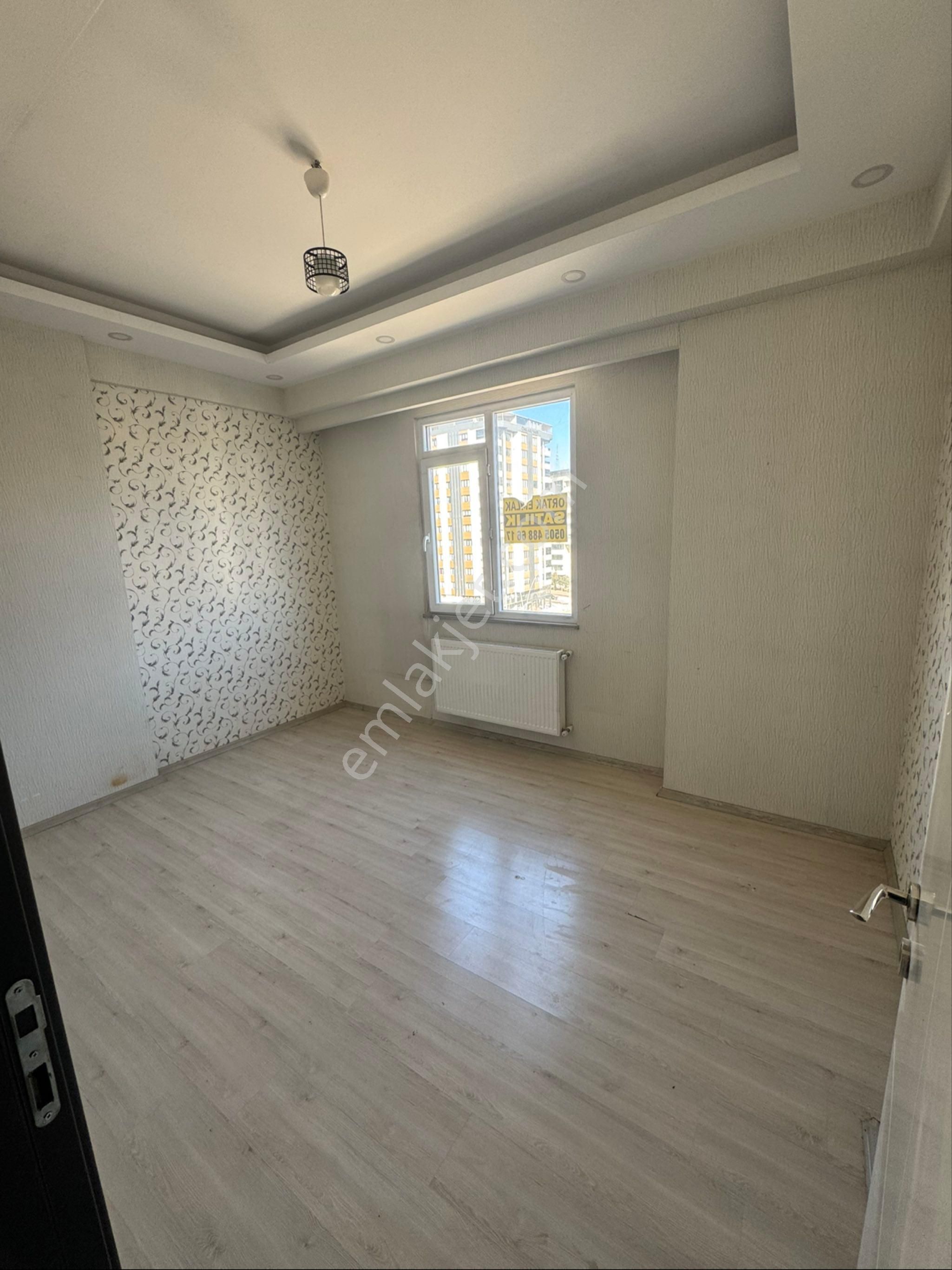 Emsalsiz Go Petrol Arkası 2+1 - Görsel 15