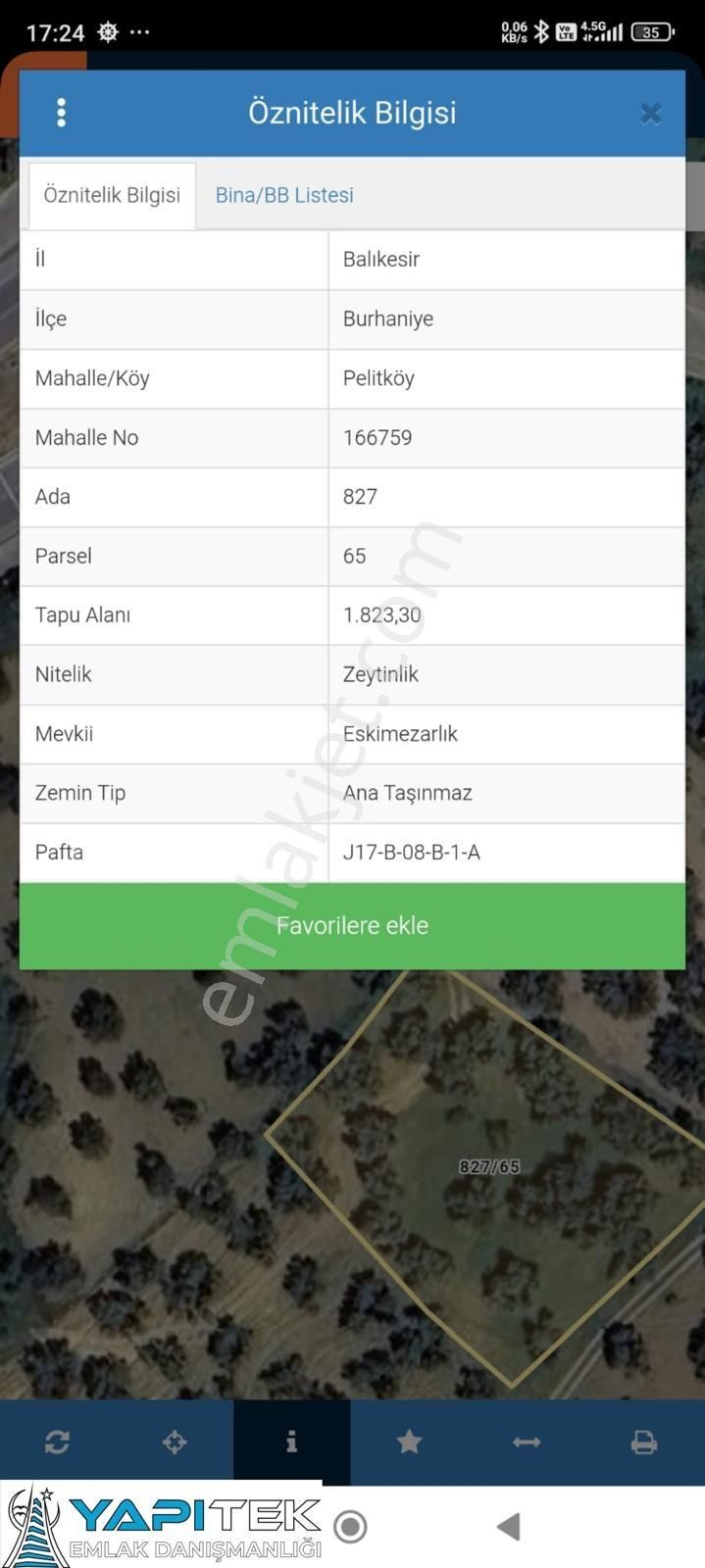 Acill Burhaniye'de 1823m2'lik Zeytinlik - Görsel 2