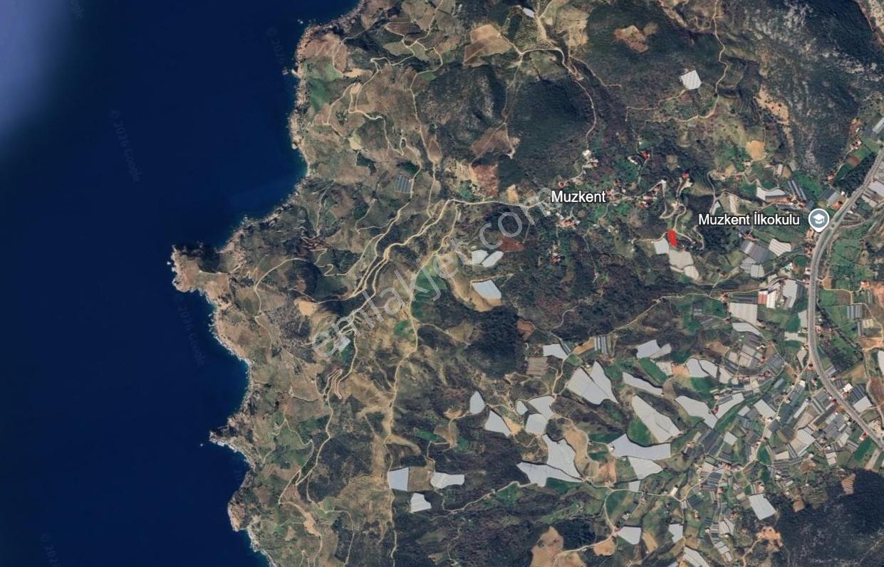 Asfalt Cephelı 1.000 Mt² Arsa - Görsel 4