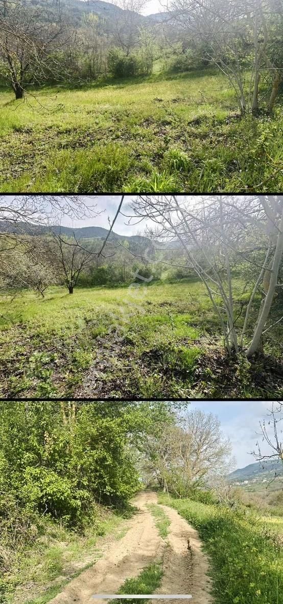 Müstakil Tapulu Fırsat Arazi - Görsel 12