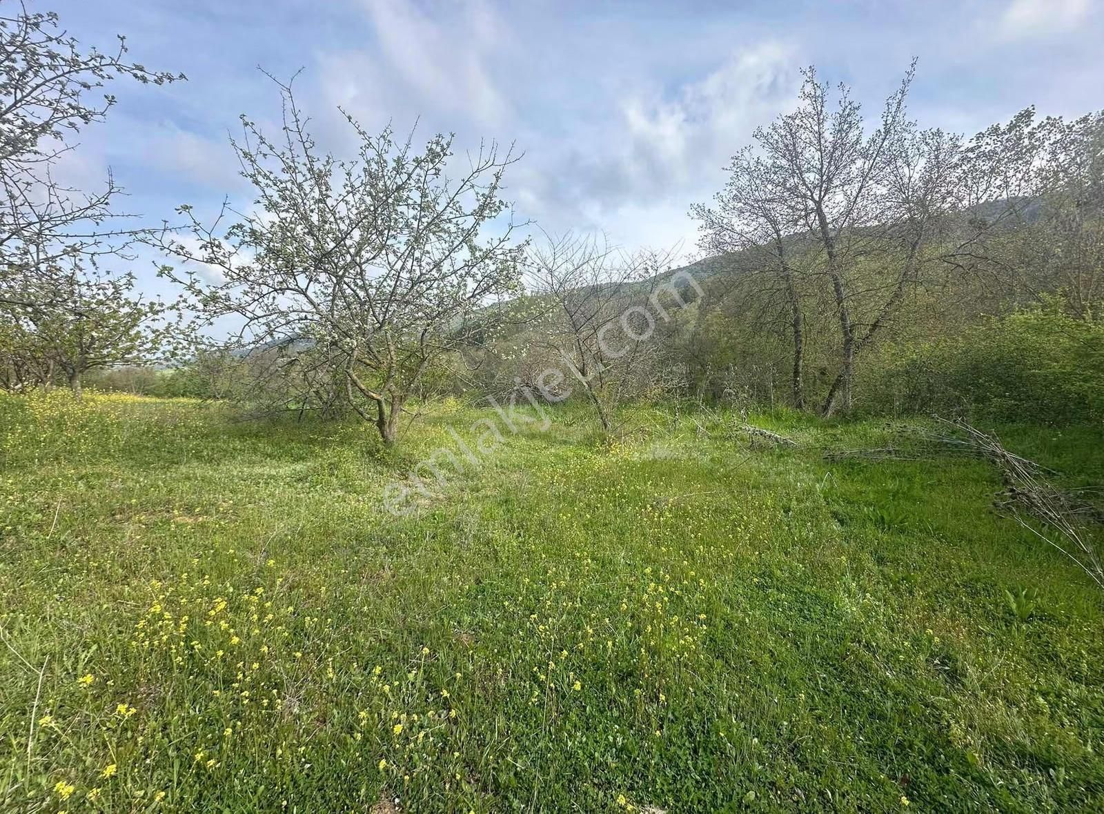 Müstakil Tapulu Fırsat Arazi - Görsel 11