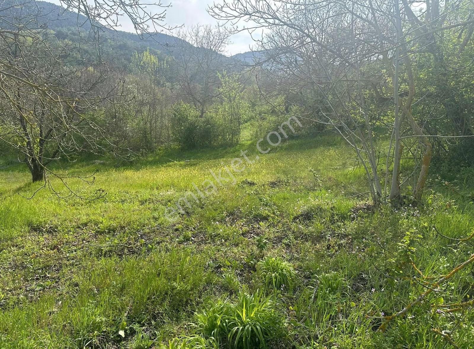 Müstakil Tapulu Fırsat Arazi - Görsel 8
