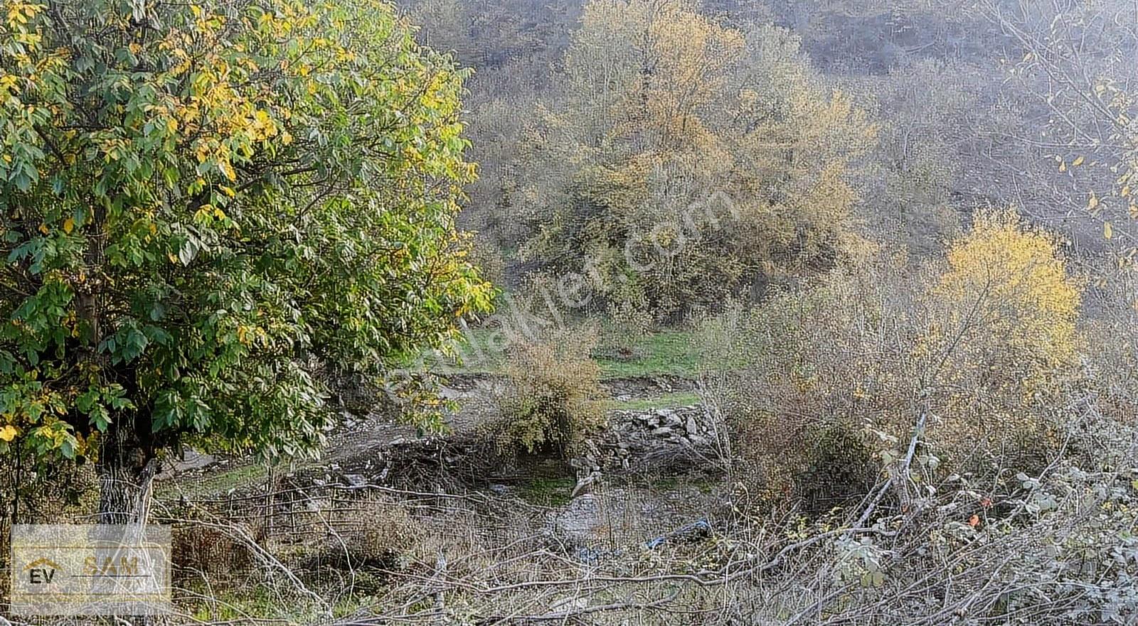 Canik İmamlar Köyü 2.350 M² Yola Cephe Yatırımlık Tarla Kupon - Görsel 5