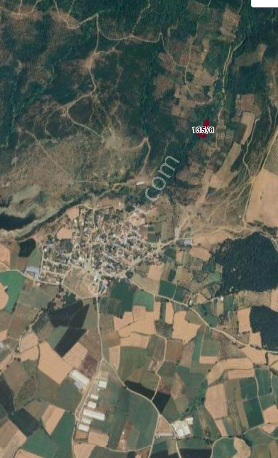Bandırma Dedeobası Mahallesi Denize Yakın Satılık Zeytinlik - Görsel 5