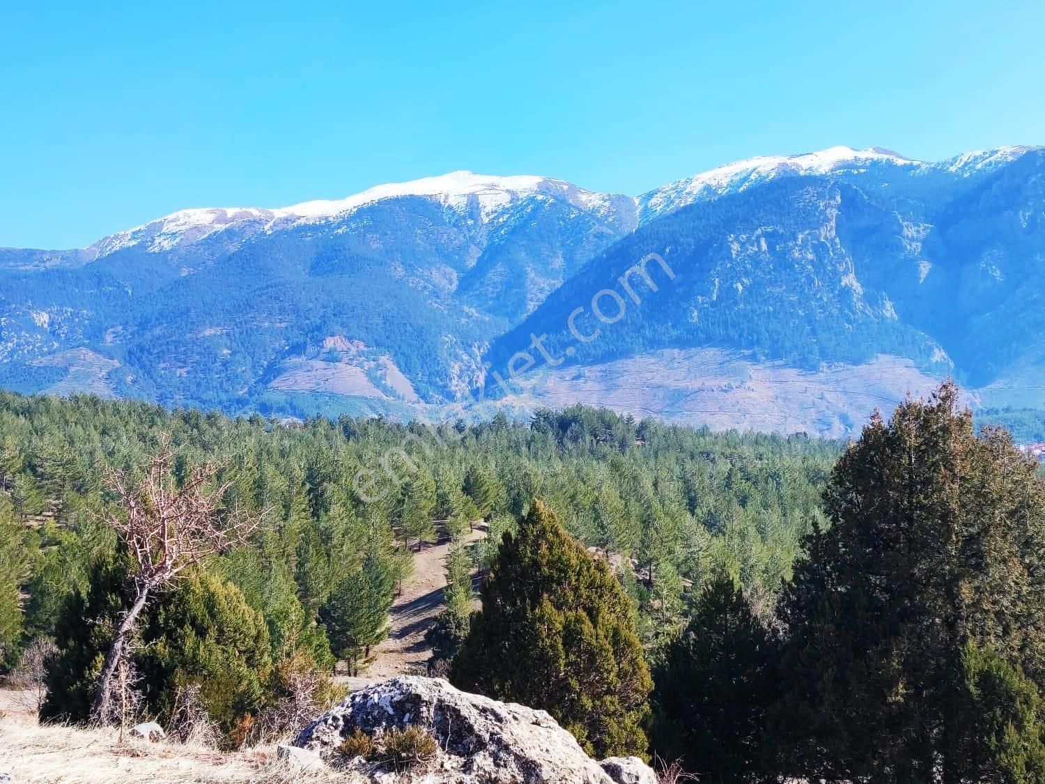 Kar Emlaktan Alpu Yaylasında 500 M2 Satılık Arsa - Görsel 21