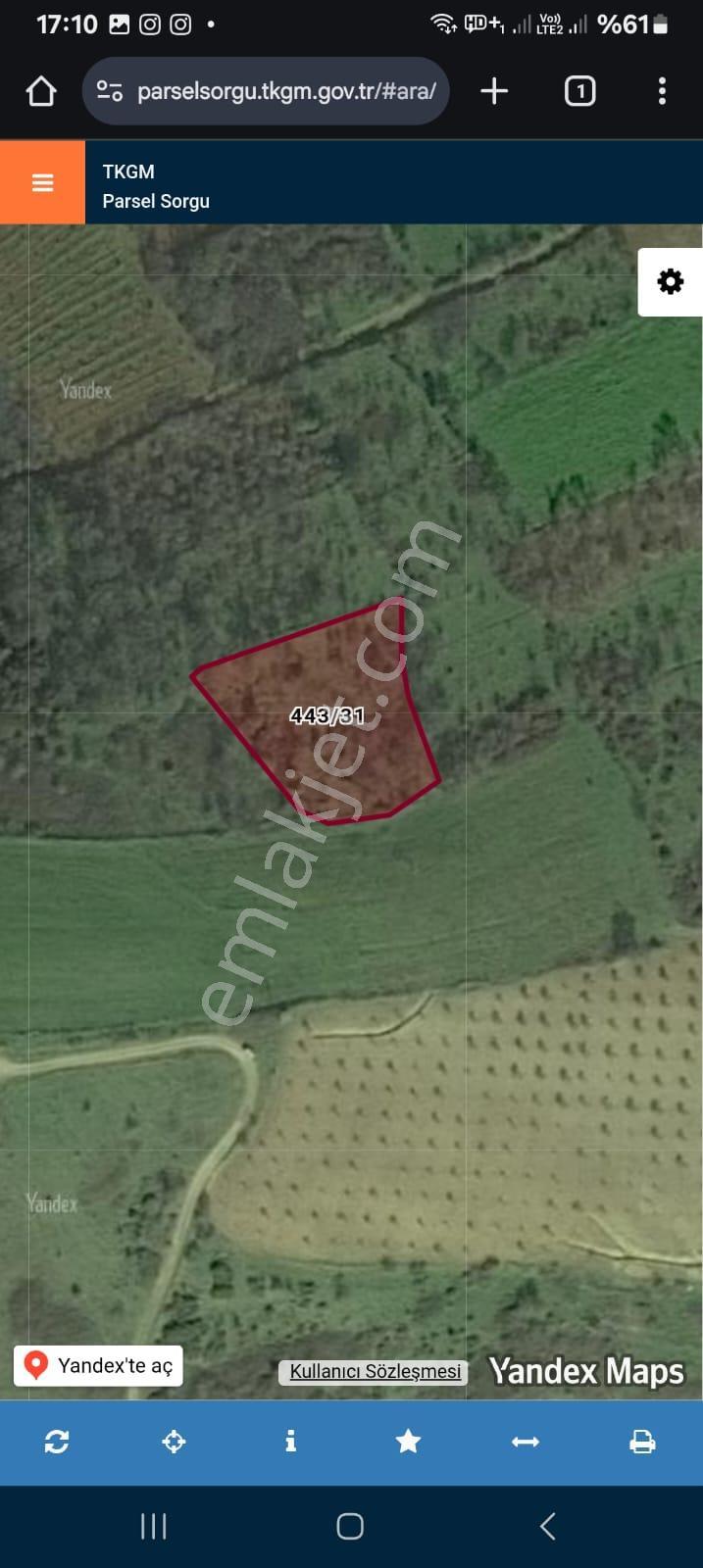 Bandırma Edincik Mahallesi 2.347m Satılık Zeytinlik - Görsel 4