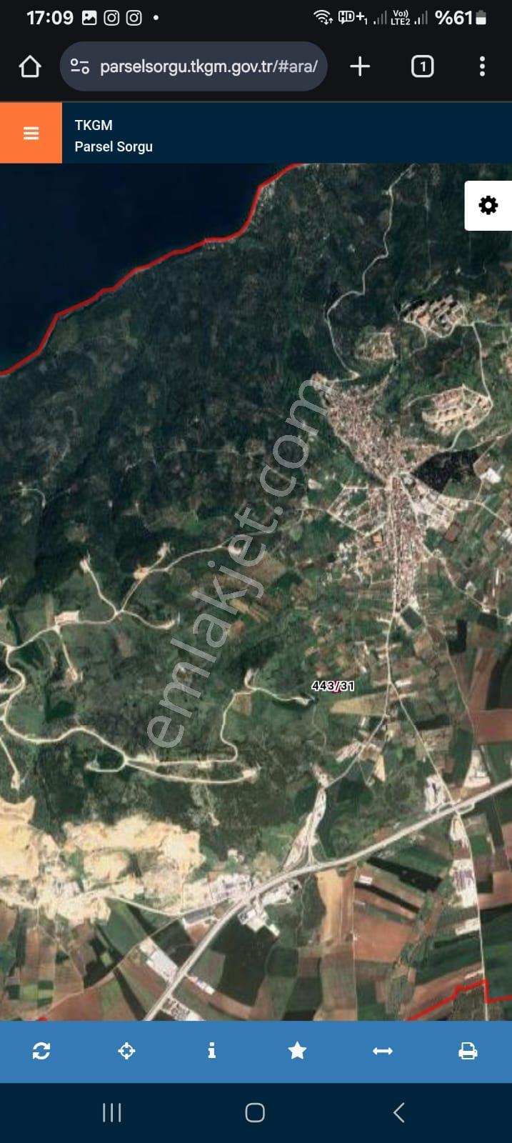 Bandırma Edincik Mahallesi 2.347m Satılık Zeytinlik - Görsel 5
