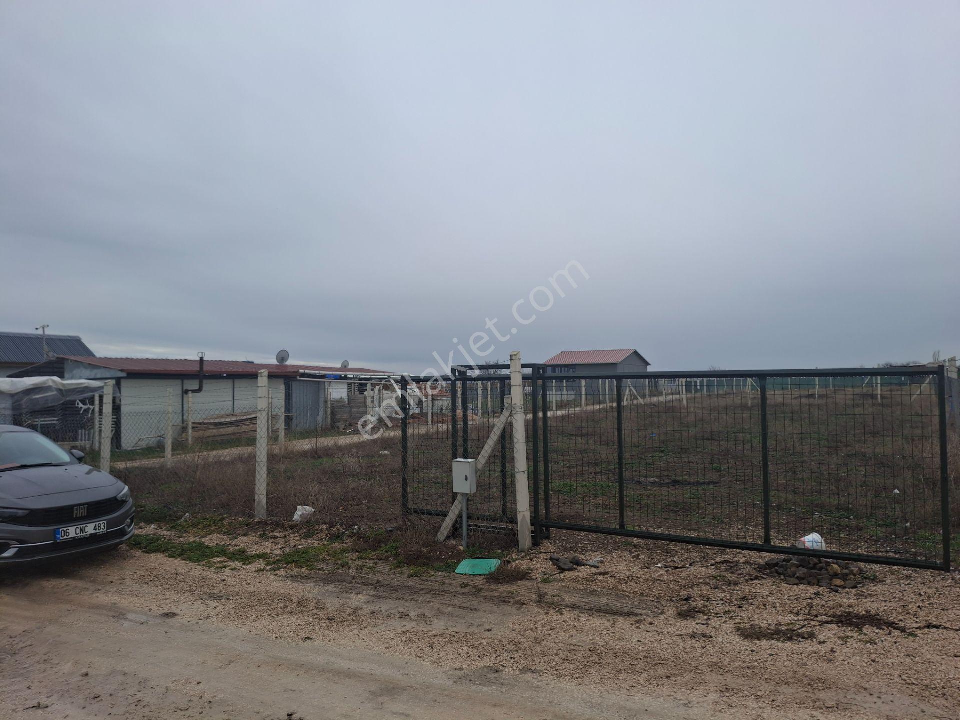 Klass Emlaktan Merzifon Karamustafa Paşa Köyünde Satılık Hobi Bahçesi - Görsel 13