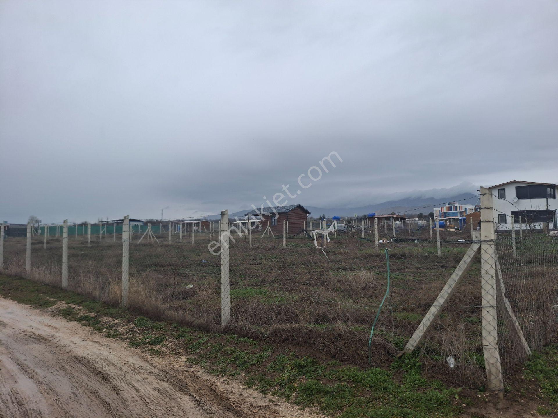 Klass Emlaktan Merzifon Karamustafa Paşa Köyünde Satılık Hobi Bahçesi - Görsel 9
