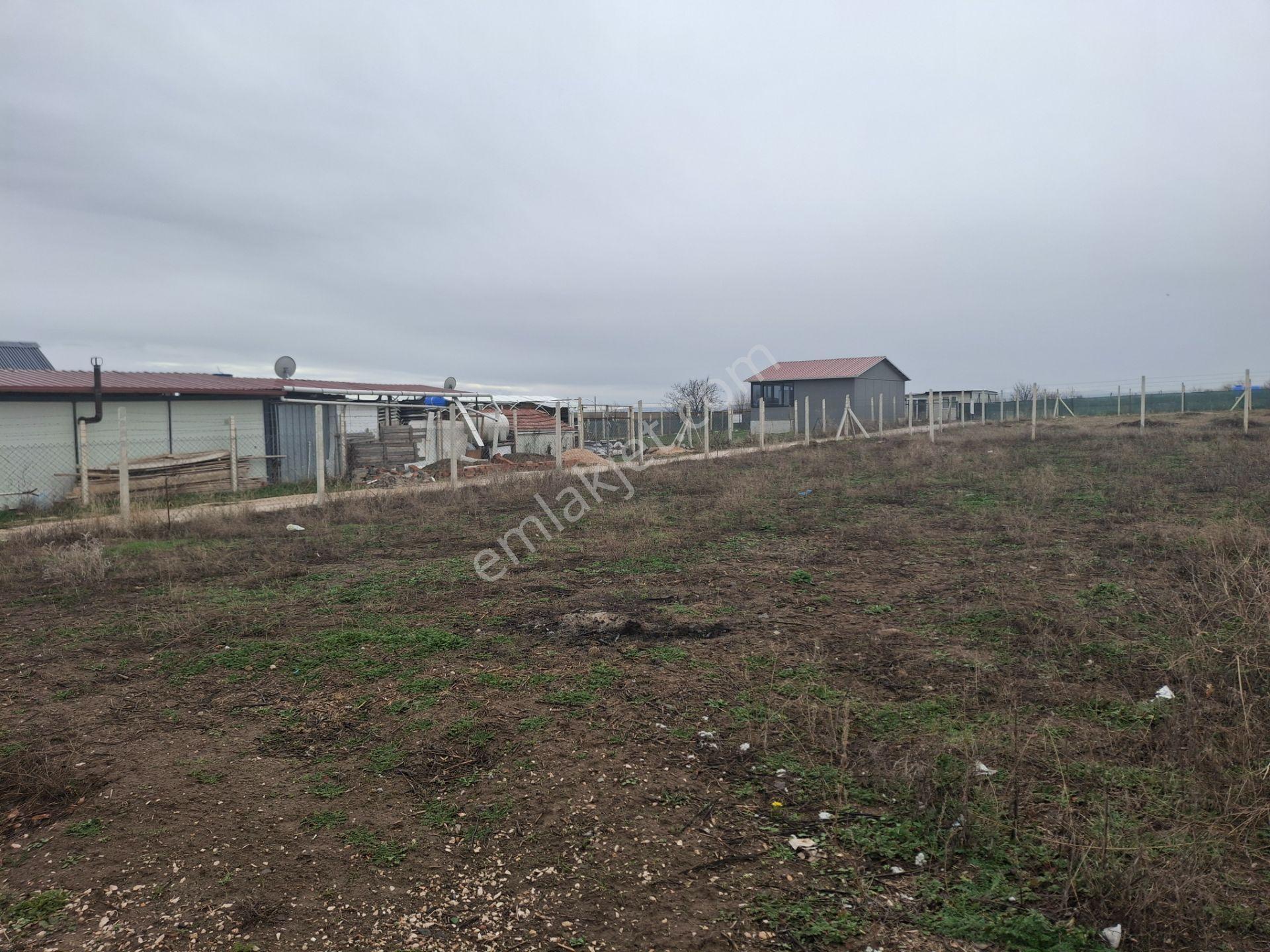 Klass Emlaktan Merzifon Karamustafa Paşa Köyünde Satılık Hobi Bahçesi - Görsel 15