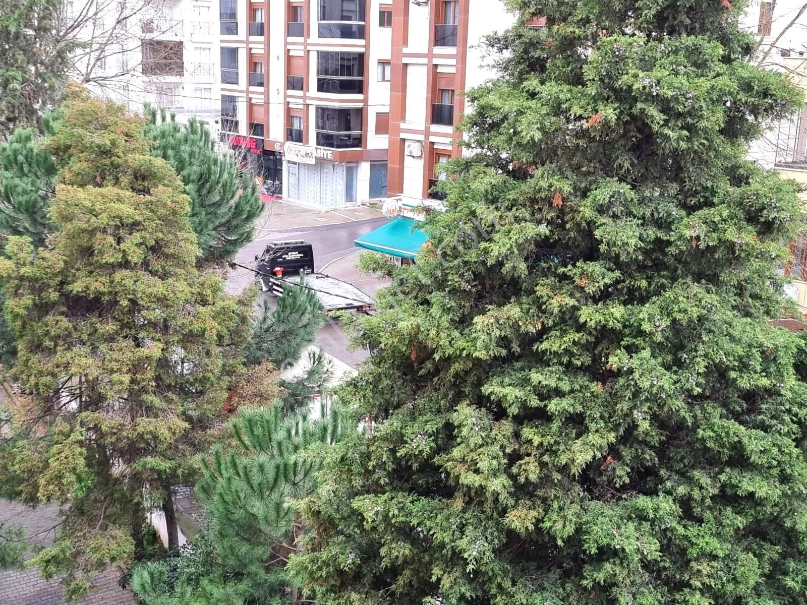 Tuzla İstasyon Mahallesi Site İçinde 2+1 Kiralık Daire - Görsel 18