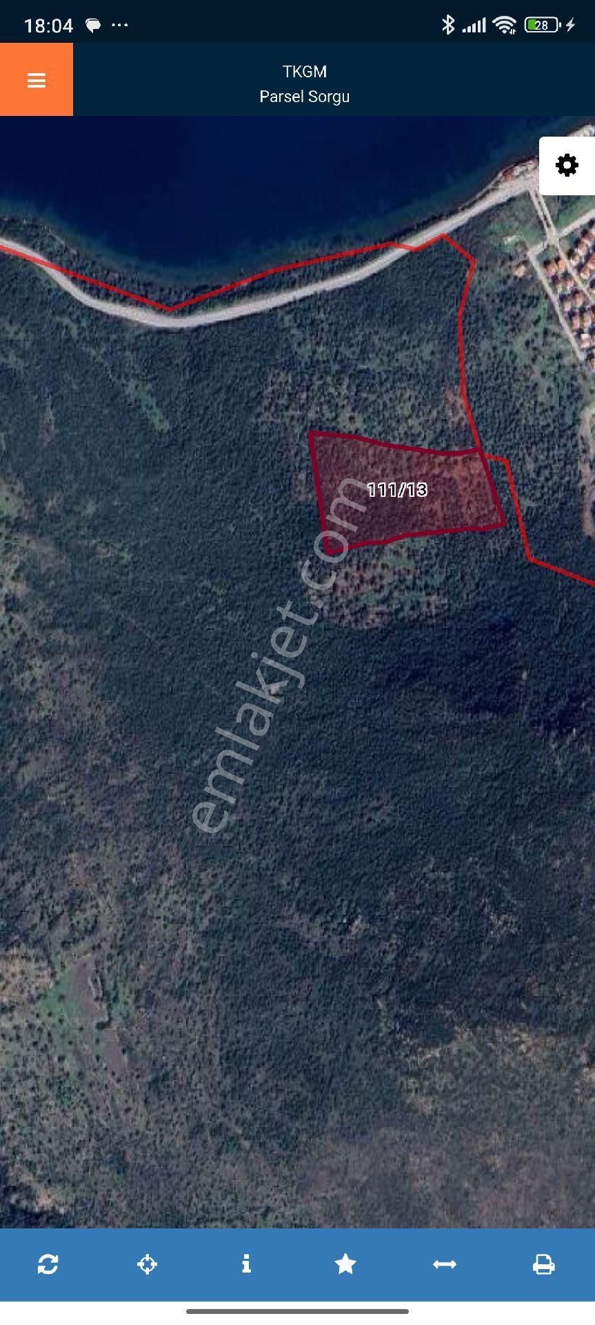 Ays Den Satılık Zeytinlik