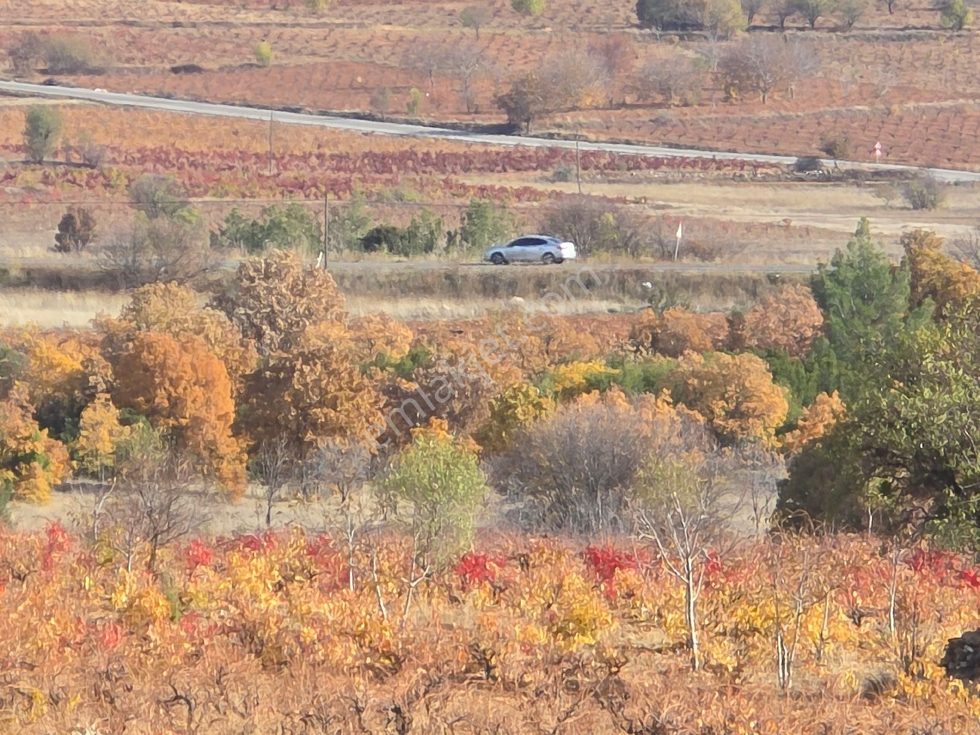 Denizli Bekilli Merkez'de Yeni Toki Konutları Ve Otoyol Yanında 4.973 M2 Tarla. Açıklamayı Okuyunuz - Görsel 17