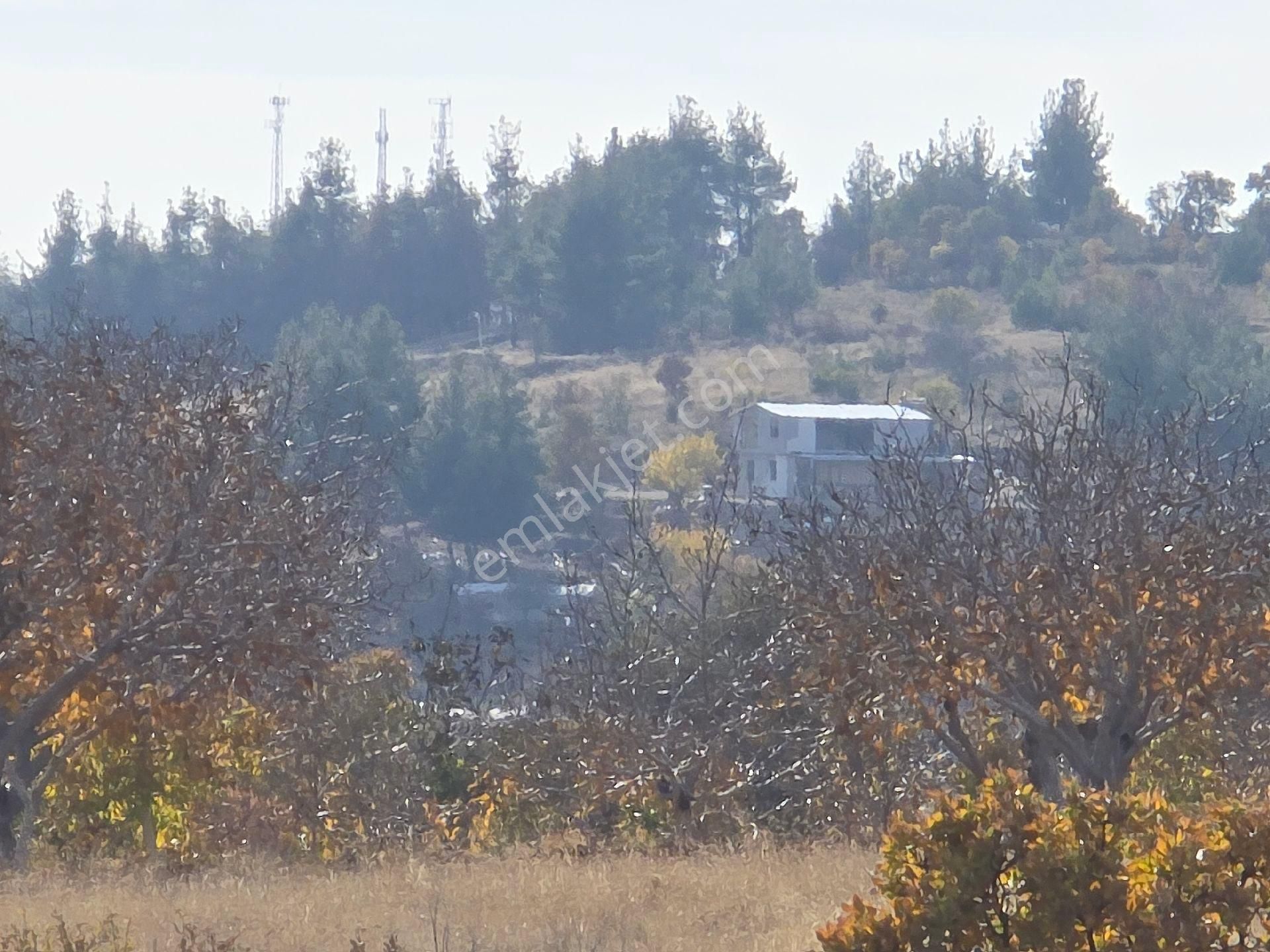 Denizli Bekilli Merkez'de Yeni Toki Konutları Ve Otoyol Yanında 4.973 M2 Tarla. Açıklamayı Okuyunuz - Görsel 22