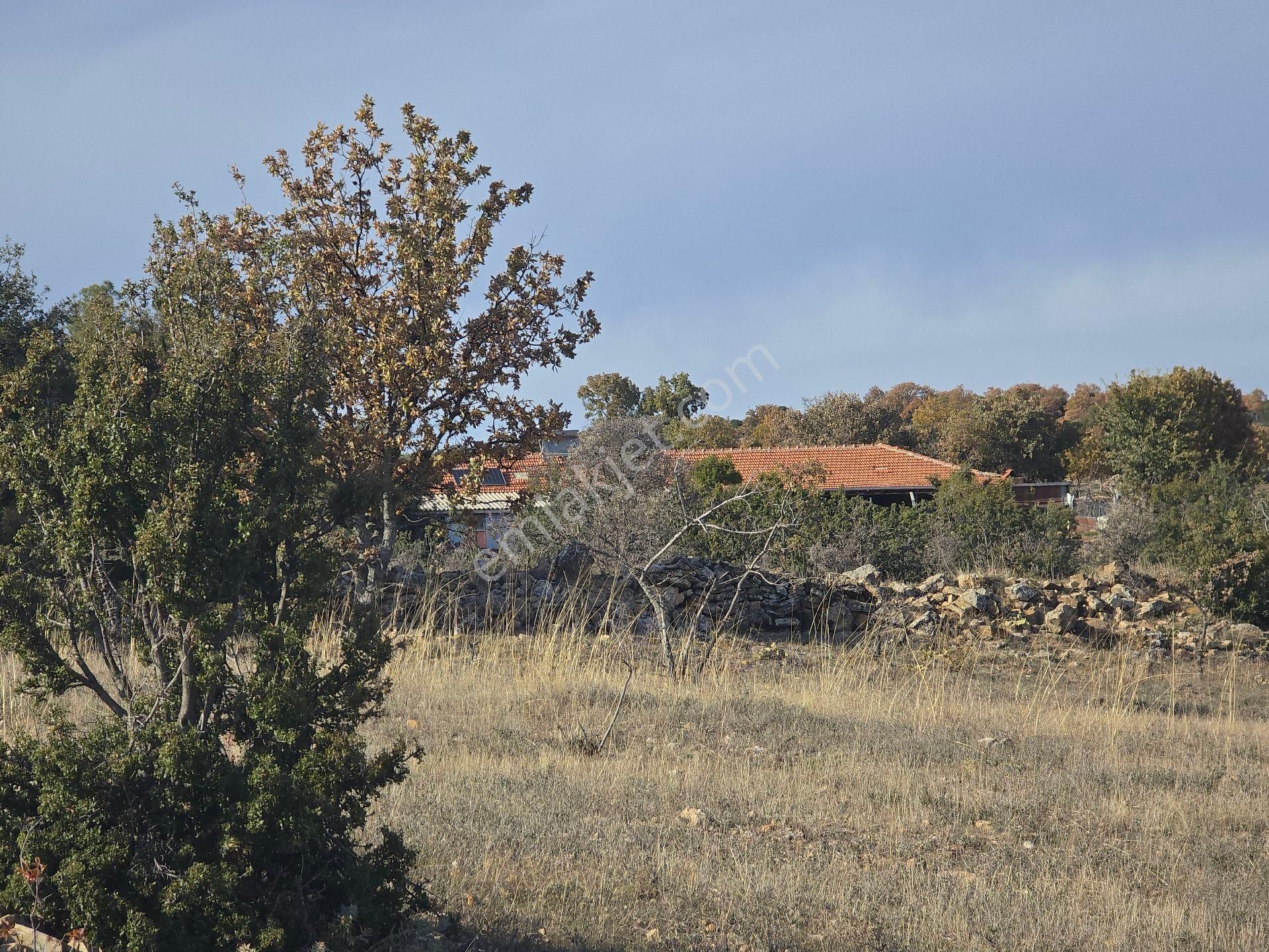 Denizli Bekilli Merkez'de Yeni Toki Konutları Ve Otoyol Yanında 4.973 M2 Tarla. Açıklamayı Okuyunuz - Görsel 14