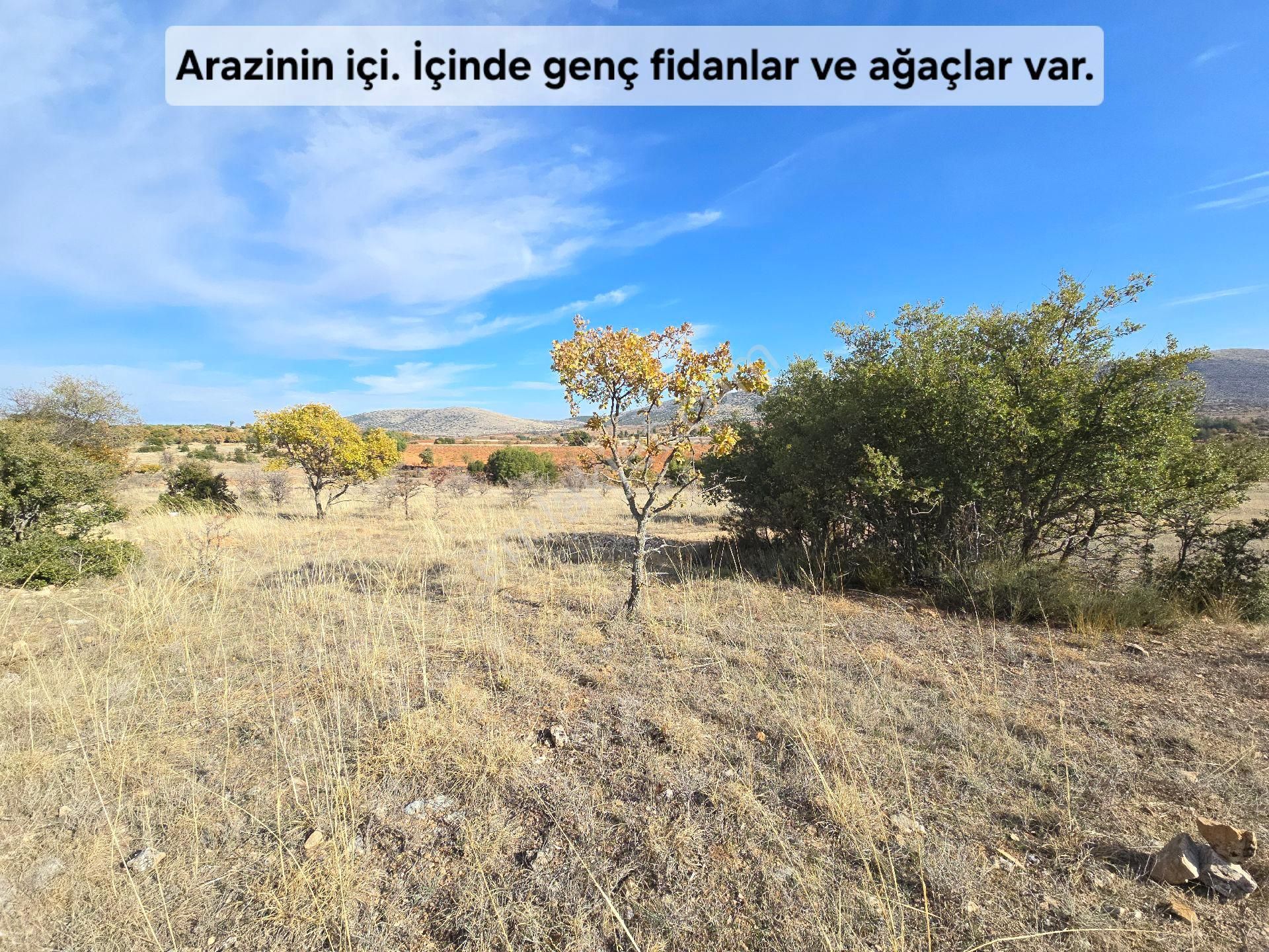 Denizli Bekilli Merkez'de Yeni Toki Konutları Ve Otoyol Yanında 4.973 M2 Tarla. Açıklamayı Okuyunuz - Görsel 9