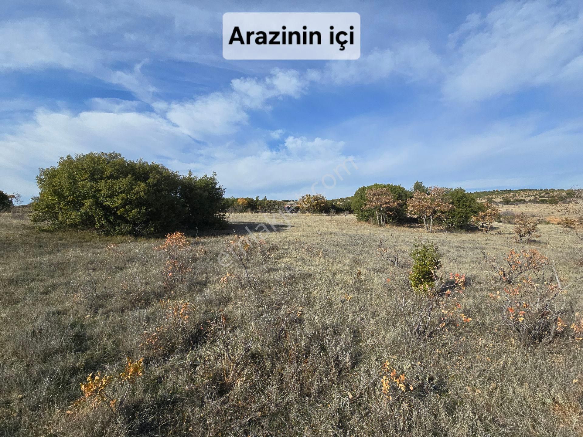 Denizli Bekilli Merkez'de Yeni Toki Konutları Ve Otoyol Yanında 4.973 M2 Tarla. Açıklamayı Okuyunuz - Görsel 11