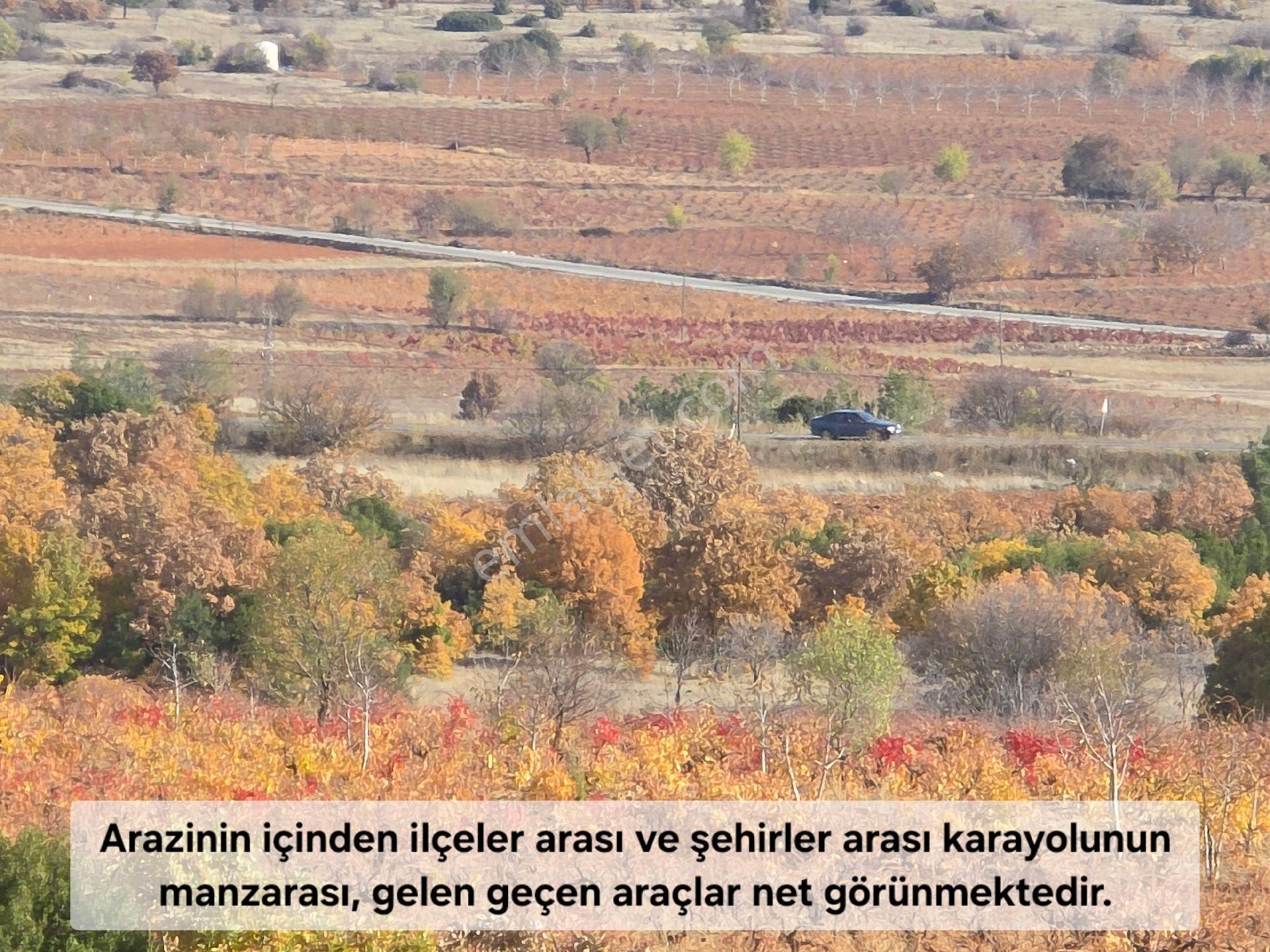 Denizli Bekilli Merkez'de Yeni Toki Konutları Ve Otoyol Yanında 4.973 M2 Tarla. Açıklamayı Okuyunuz - Görsel 16