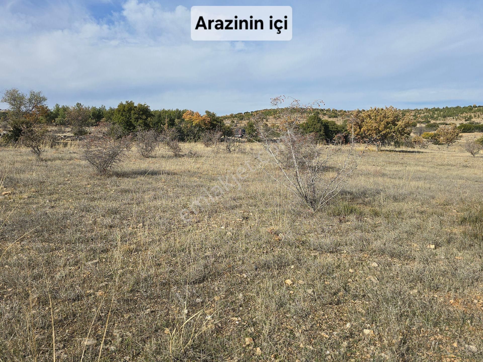 Denizli Bekilli Merkez'de Yeni Toki Konutları Ve Otoyol Yanında 4.973 M2 Tarla. Açıklamayı Okuyunuz - Görsel 10