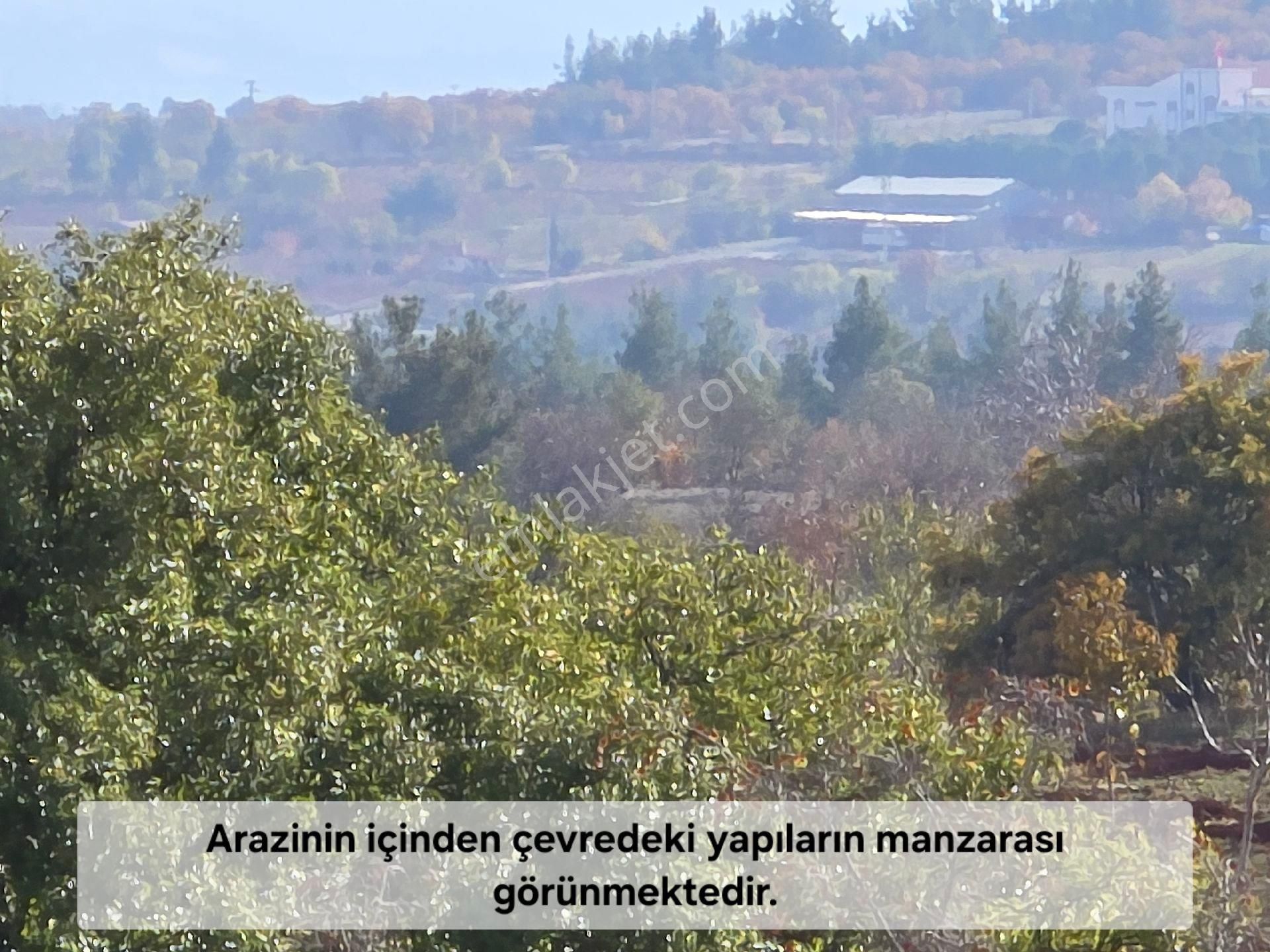 Denizli Bekilli Merkez'de Yeni Toki Konutları Ve Otoyol Yanında 4.973 M2 Tarla. Açıklamayı Okuyunuz - Görsel 15