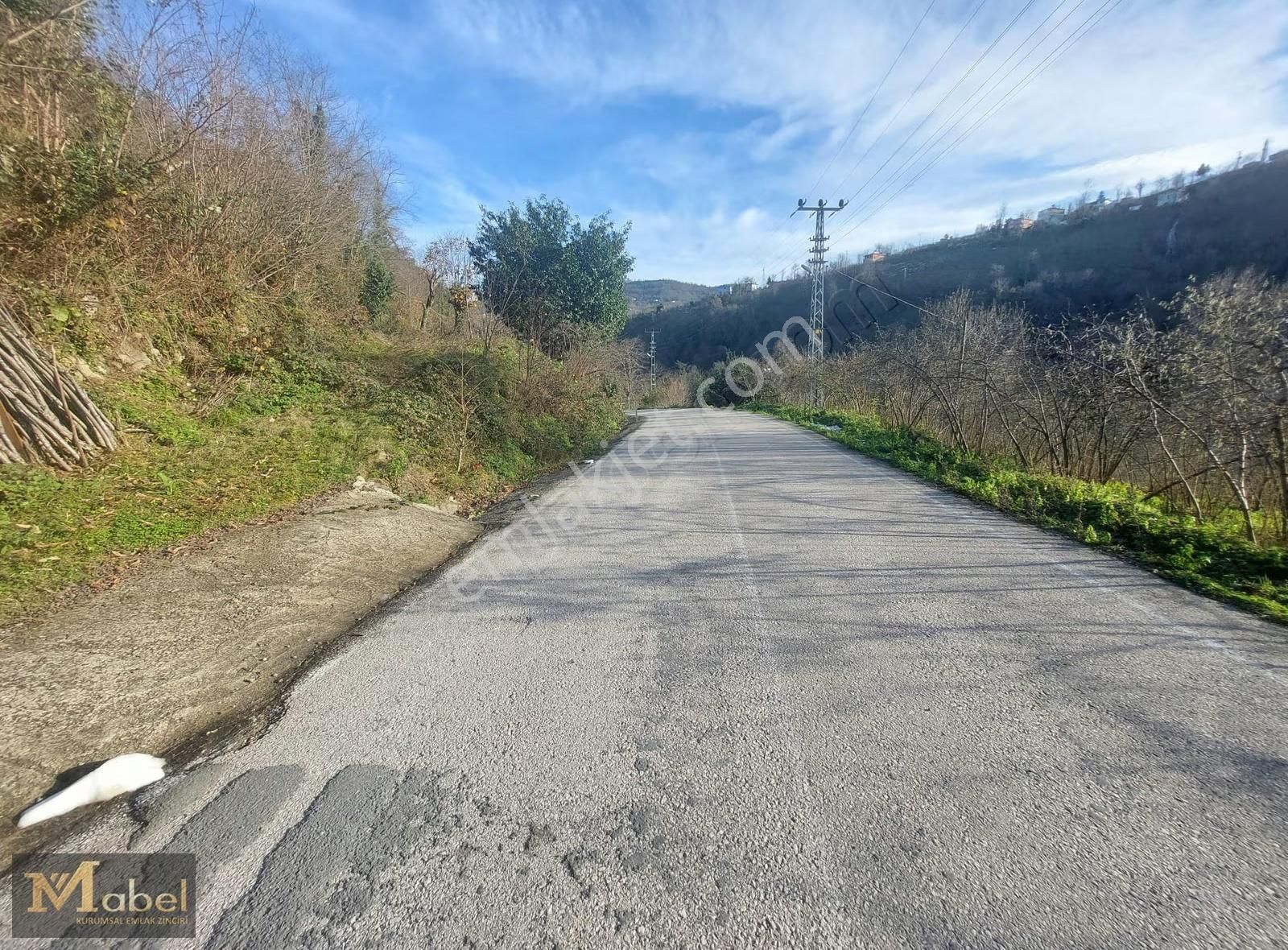 Mabel Gayrimenkul- Perşembe Şenyurt'ta Satılık Fındık Bahçesi - Görsel 12