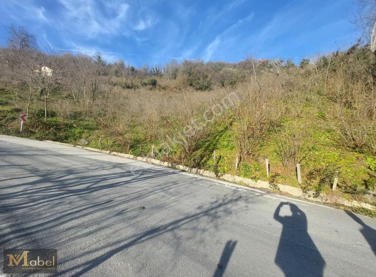 Mabel Gayrimenkul- Perşembe Şenyurt'ta Satılık Fındık Bahçesi - Görsel 8