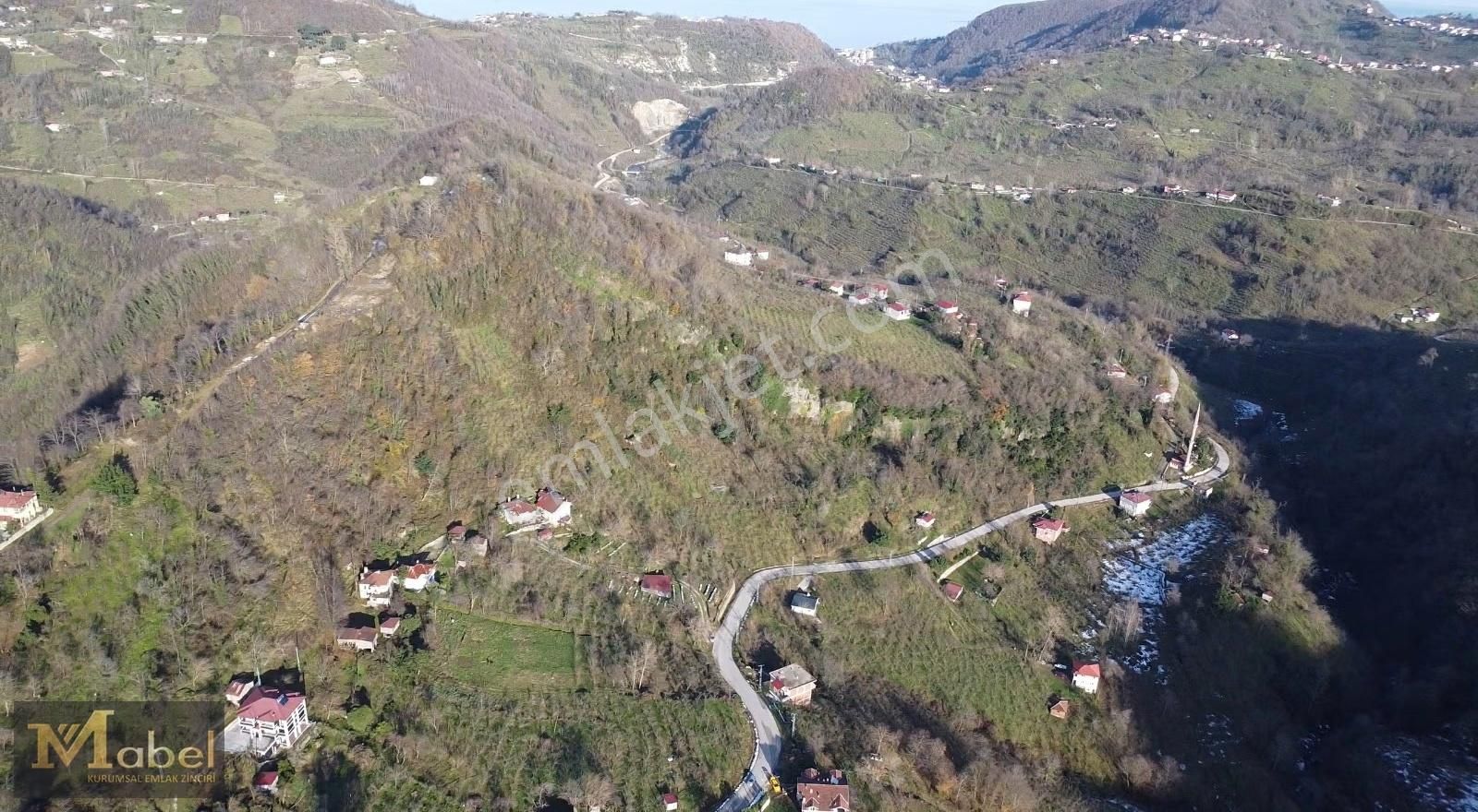 Mabel Gayrimenkul- Perşembe Şenyurt'ta Satılık Fındık Bahçesi - Görsel 11