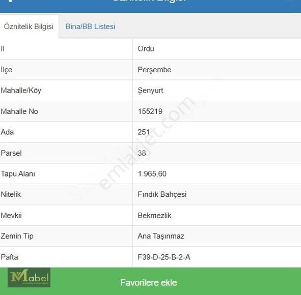 Mabel Gayrimenkul- Perşembe Şenyurt'ta Satılık Fındık Bahçesi - Görsel 10