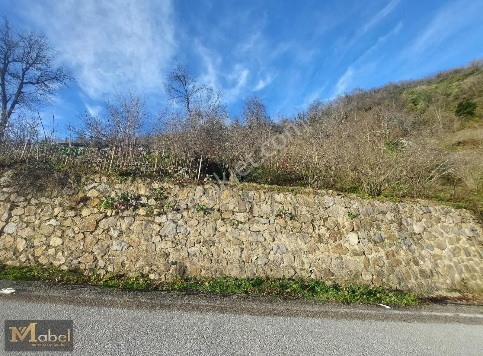 Mabel Gayrimenkul- Perşembe Şenyurt'ta Satılık Fındık Bahçesi - Görsel 6