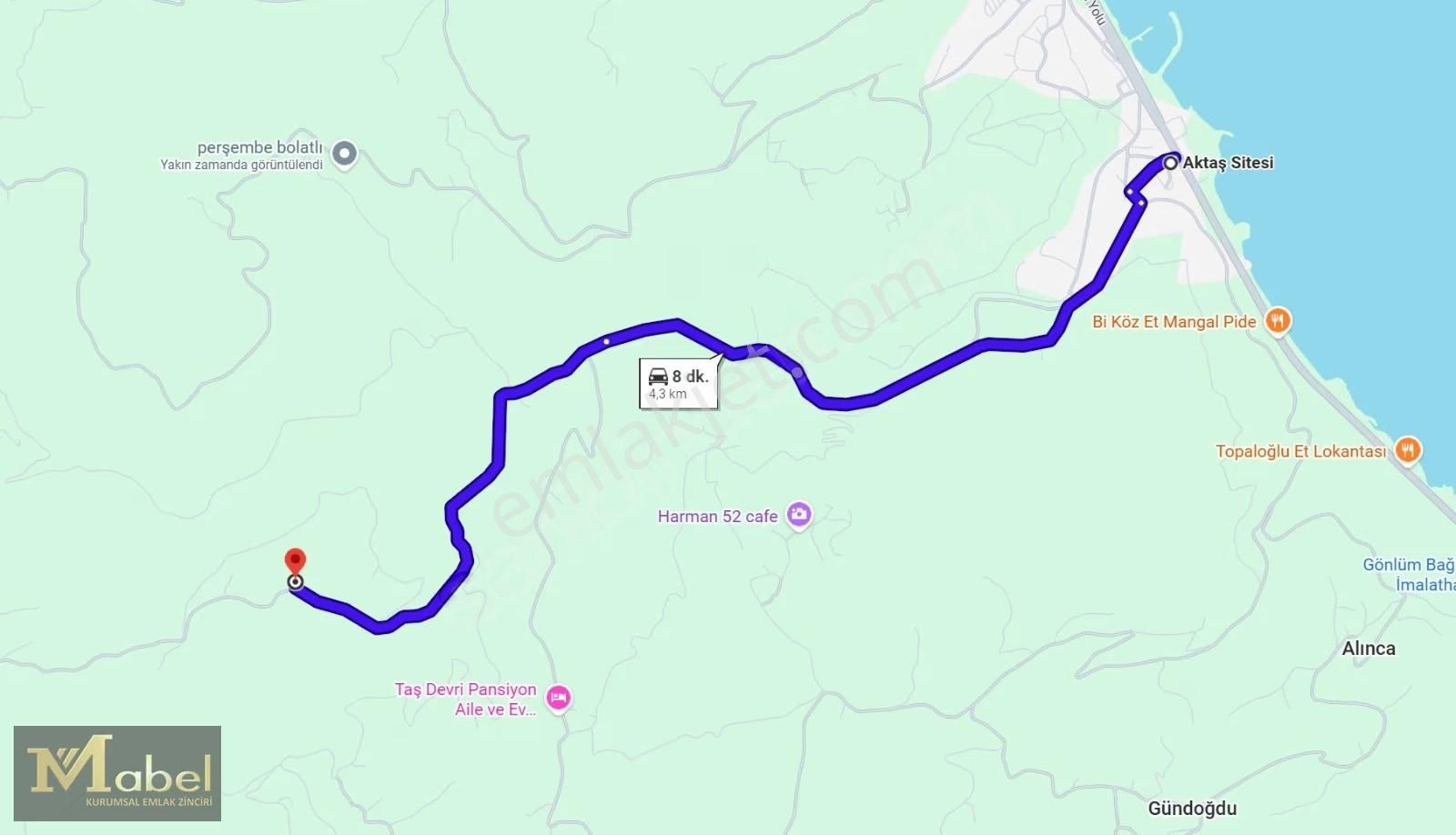 Mabel Gayrimenkul- Perşembe Şenyurt'ta Satılık Fındık Bahçesi - Görsel 9
