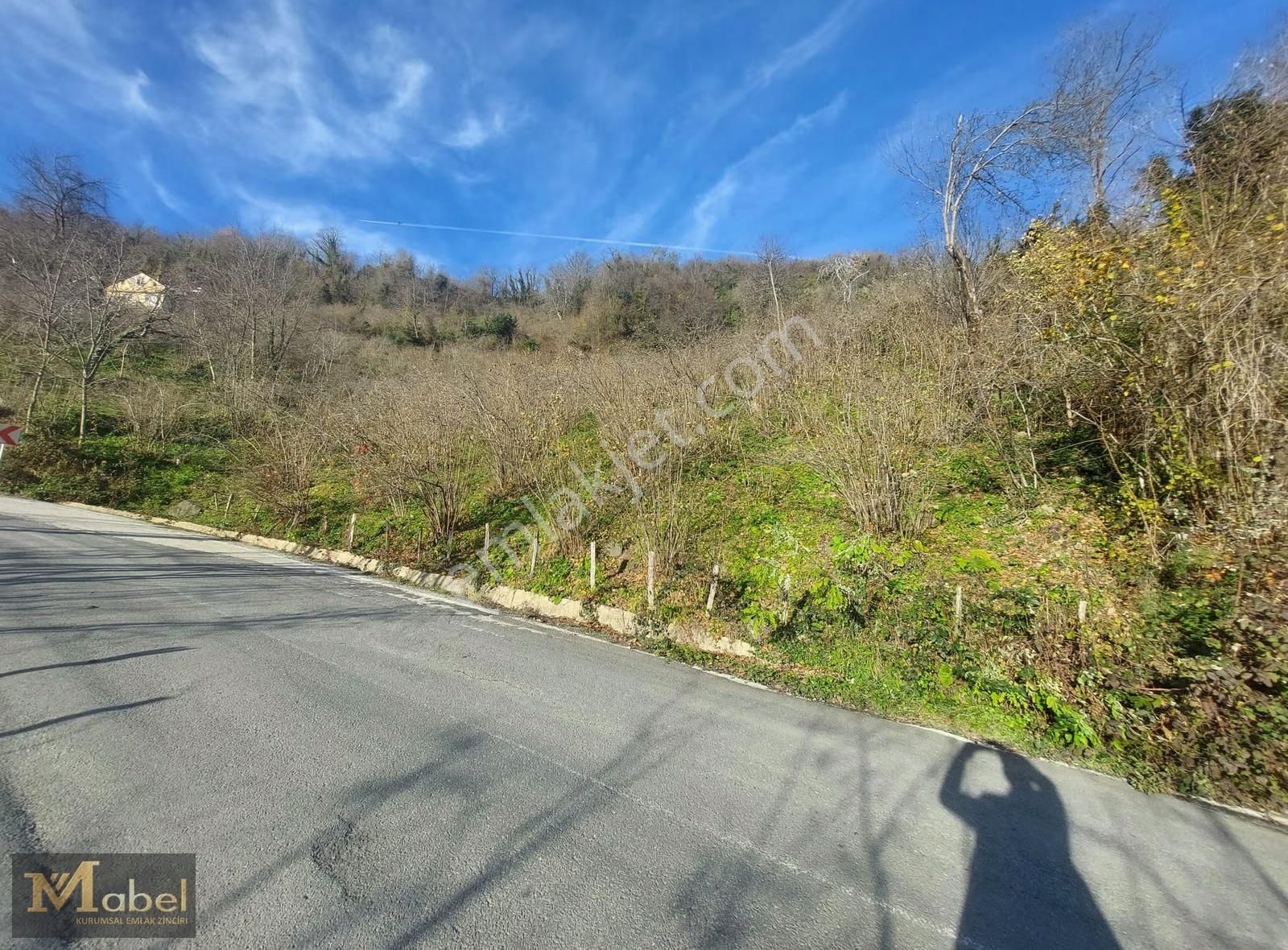 Mabel Gayrimenkul- Perşembe Şenyurt'ta Satılık Fındık Bahçesi - Görsel 7