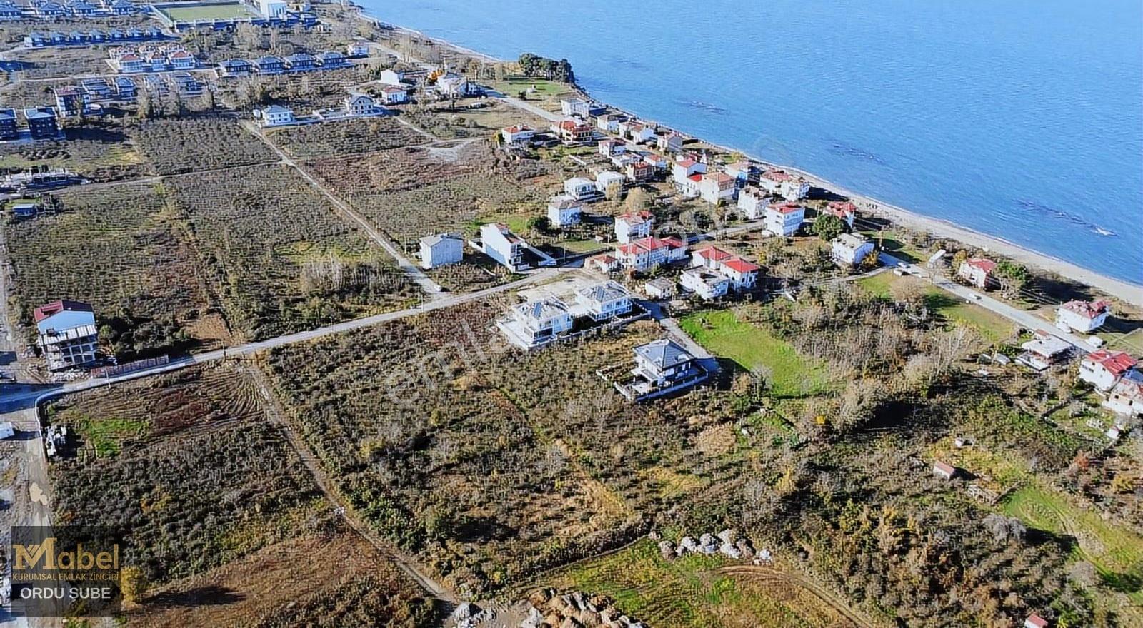 Mabel'den - Turnasuyunda Sahilde Villa İmarlı Satılık Arsa - Görsel 5