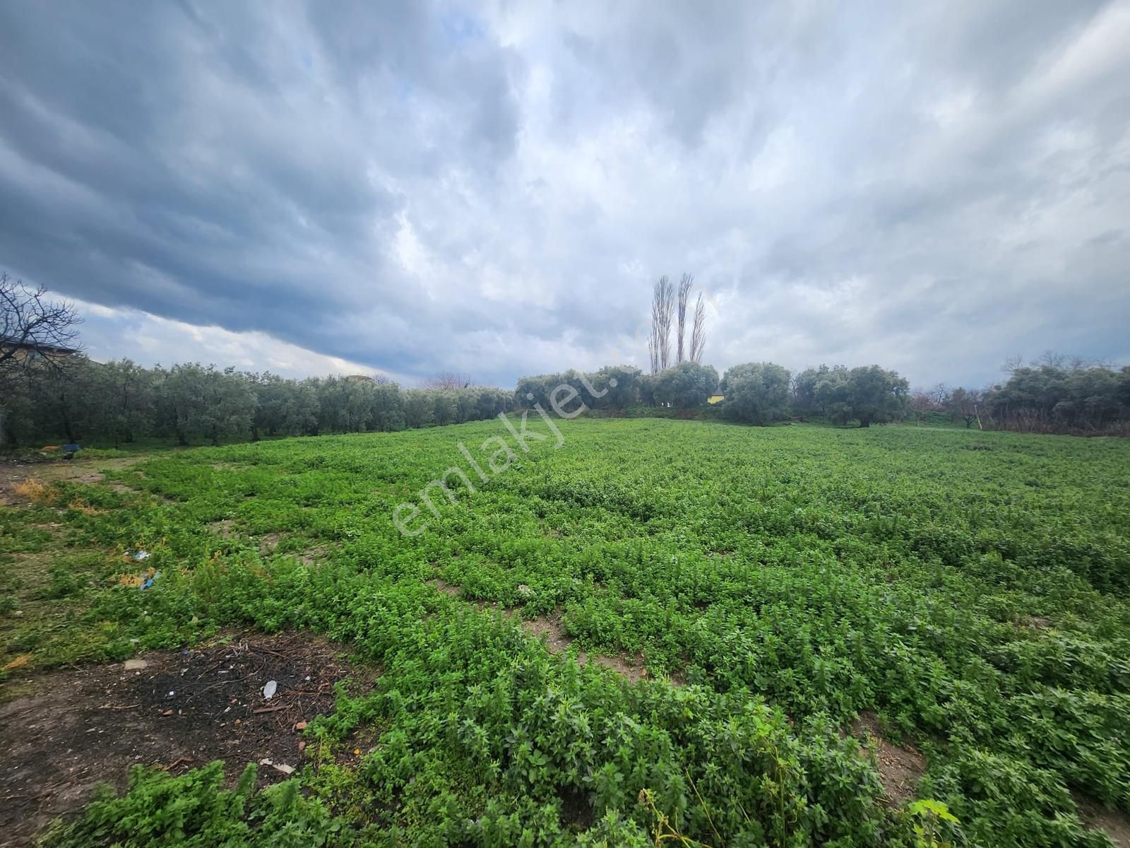 İznik, Selçuk Mahallesinde, Satılık Konut İmarlı Arsa - Görsel 4