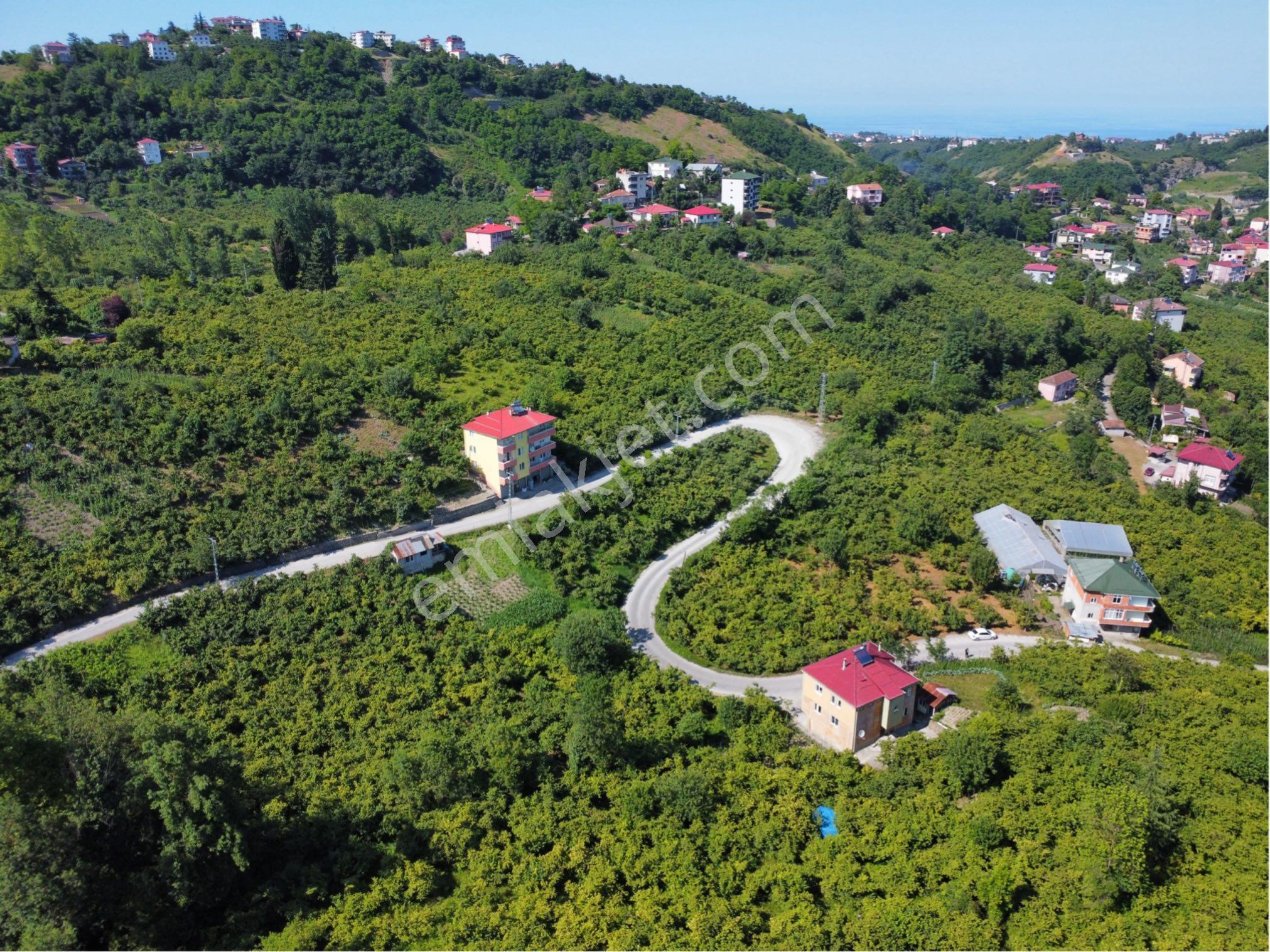 Trabzon Gölçayırda Fırsat Arazi - Görsel 4