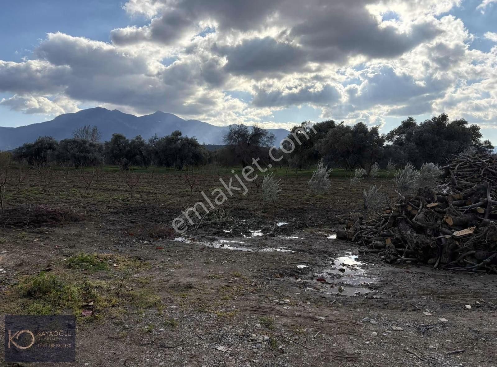 Yukarı Kızılca'da Kadastrol Yola Cepheli Müstakil Parsel - Görsel 19