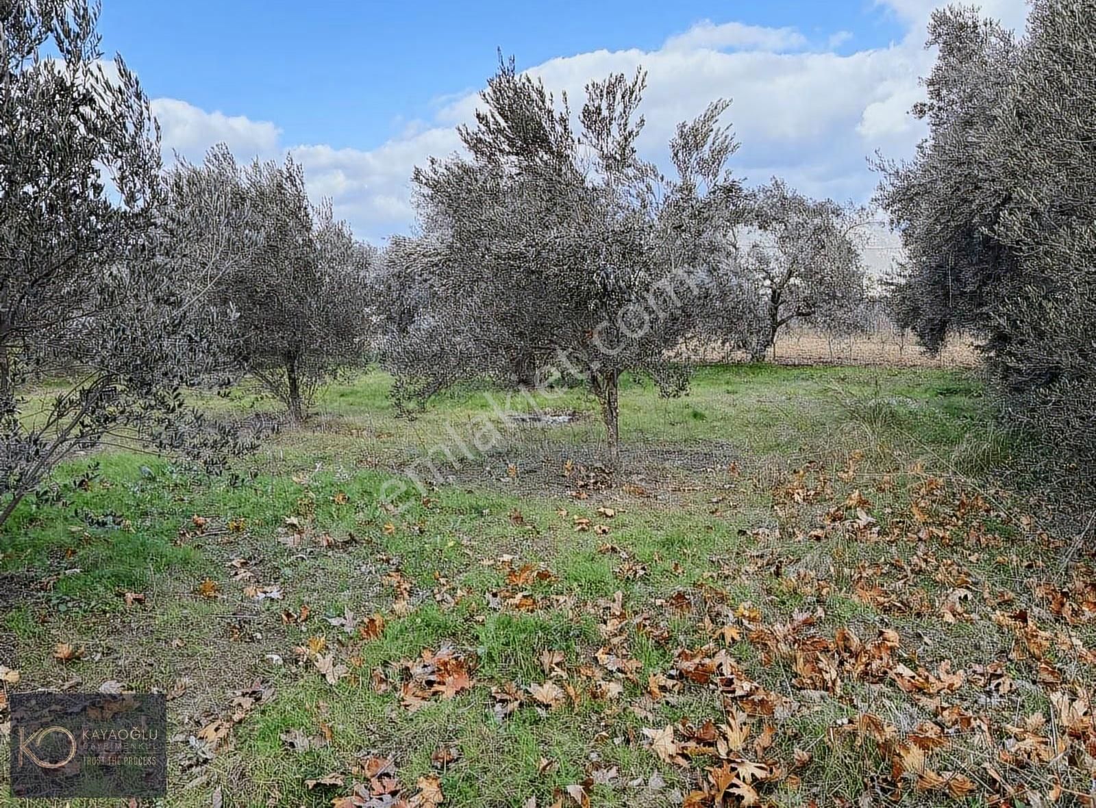 Yukarı Kızılca'da Kadastrol Yola Cepheli Müstakil Parsel - Görsel 6