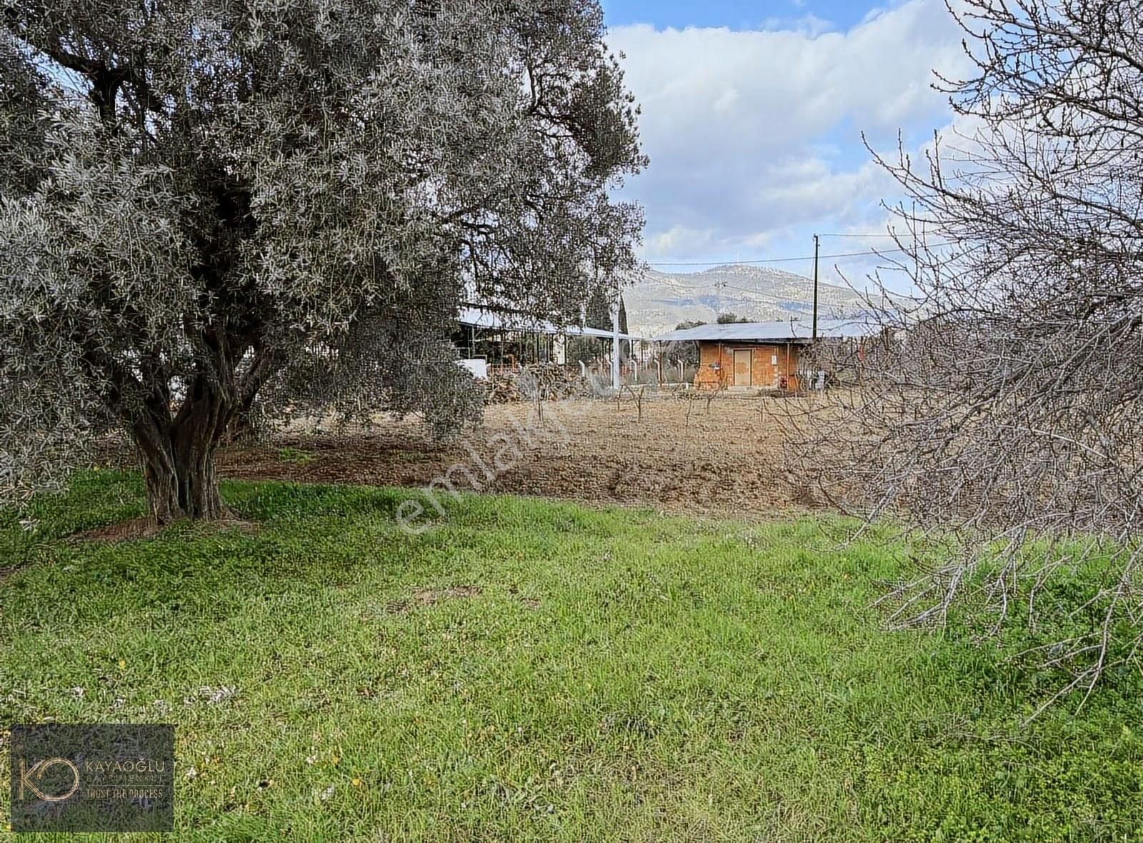 Yukarı Kızılca'da Kadastrol Yola Cepheli Müstakil Parsel - Görsel 13