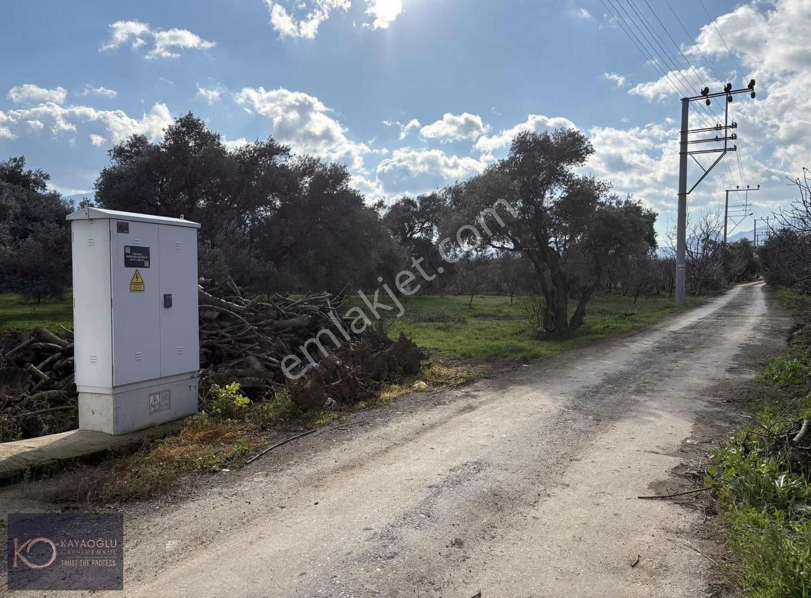 Yukarı Kızılca'da Kadastrol Yola Cepheli Müstakil Parsel - Görsel 30
