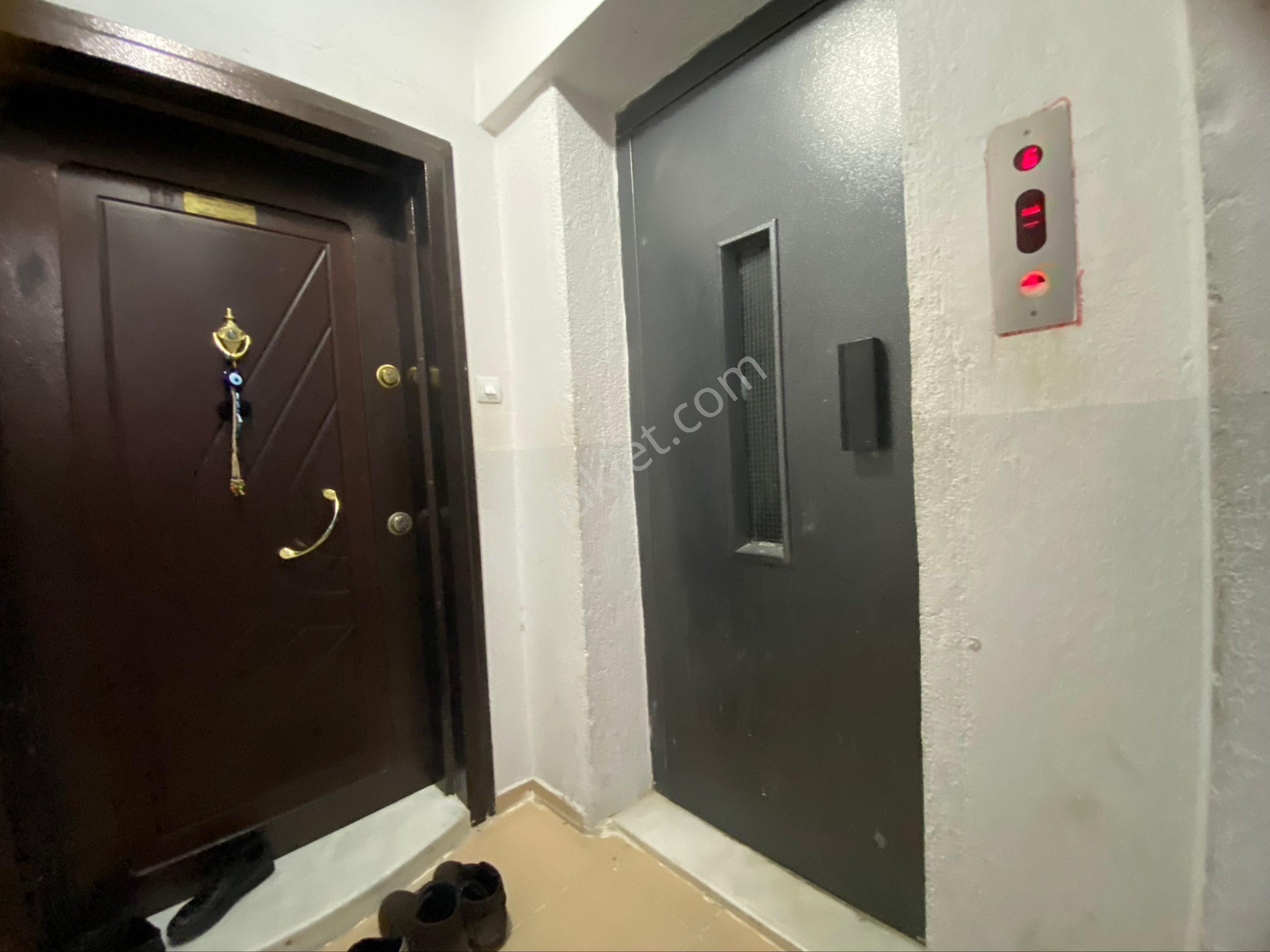 Alaybey Mh Sakaryaparkı Yakını 17 Yıllık Arakat - Görsel 3