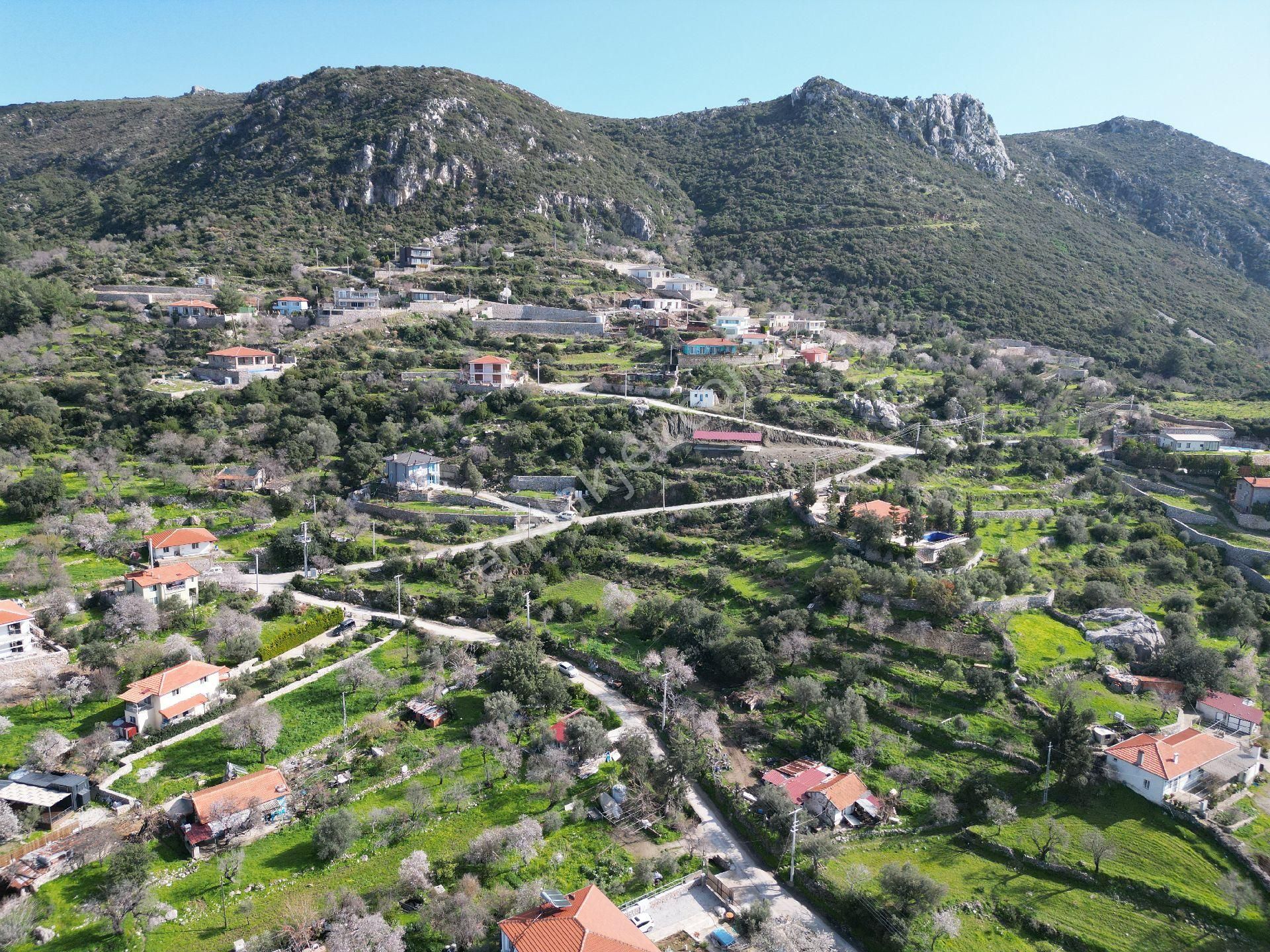 Joker: Söğüt Yol Cepheli Değerli Konum Evlere Komşu Satılık - Görsel 3