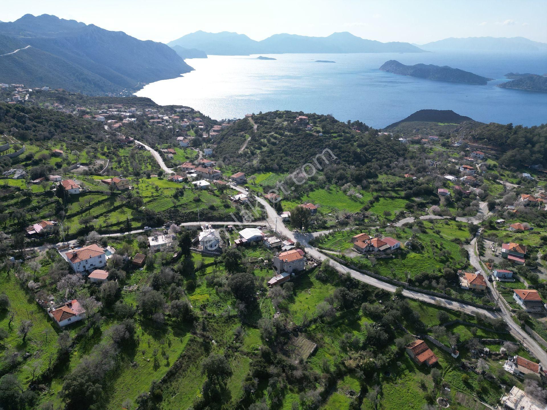 Joker: Söğüt Yol Cepheli Değerli Konum Evlere Komşu Satılık