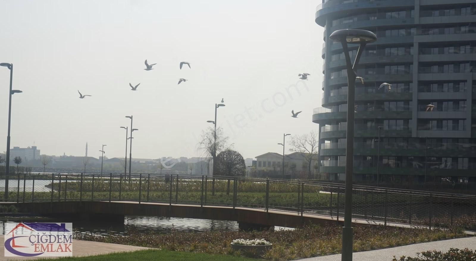 Çiğdem Emlak'tan Sea Pearl Ataköy 1+1 Balkonlu Deniz Manz.kir. - Görsel 6